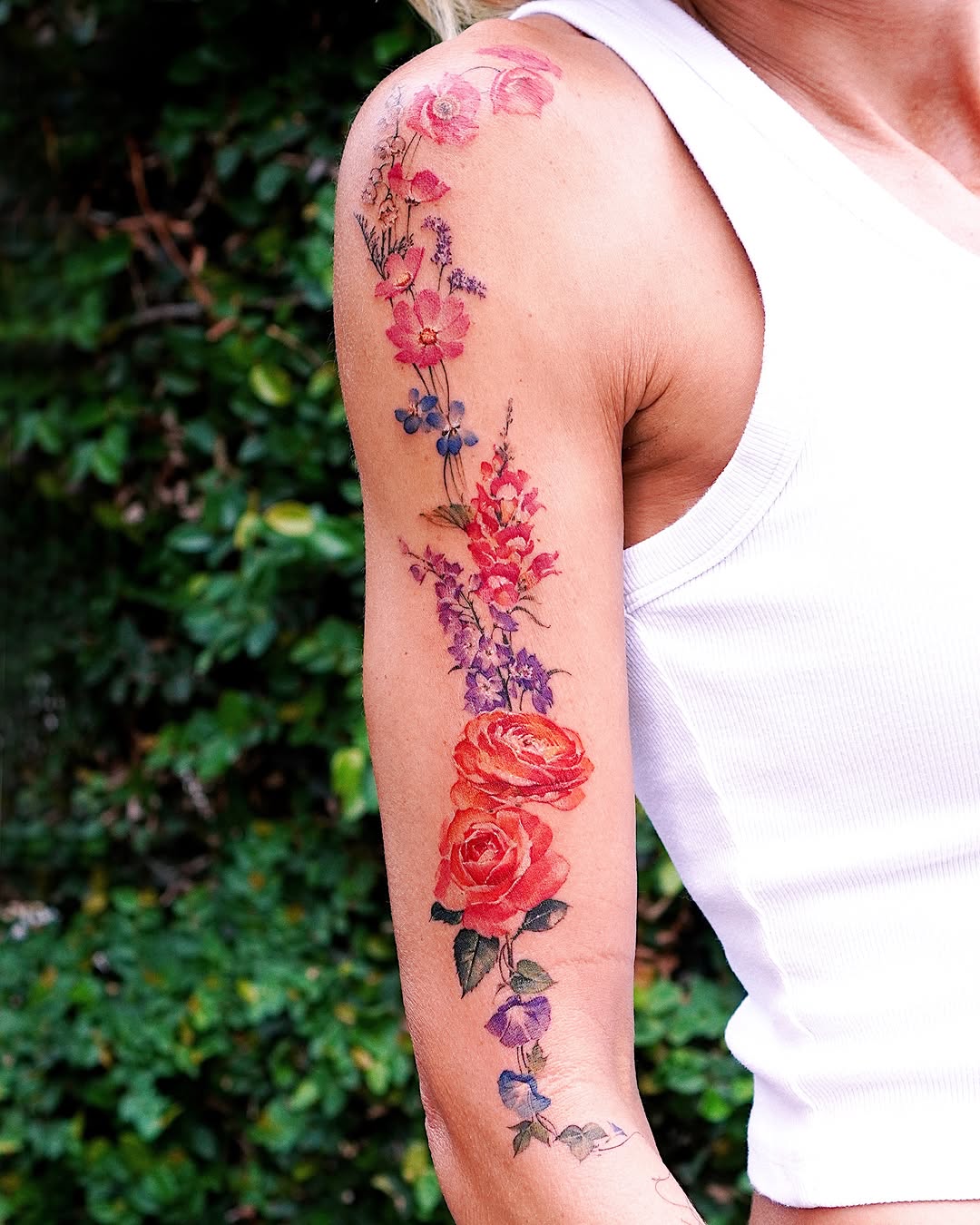 Flower, Rose