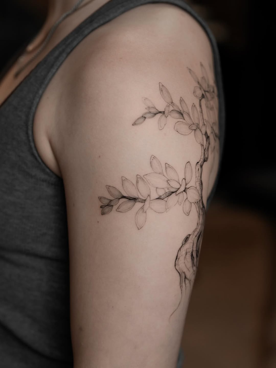 Flower, Nature, 뿌리, 나무, 해부학, 나뭇가지