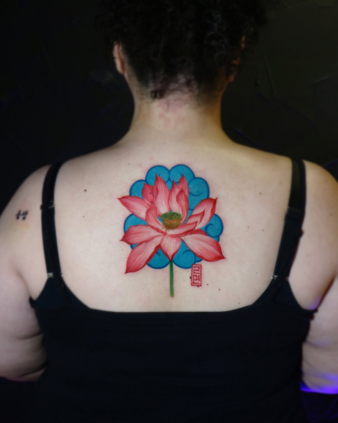 Flower, Nature, Rose