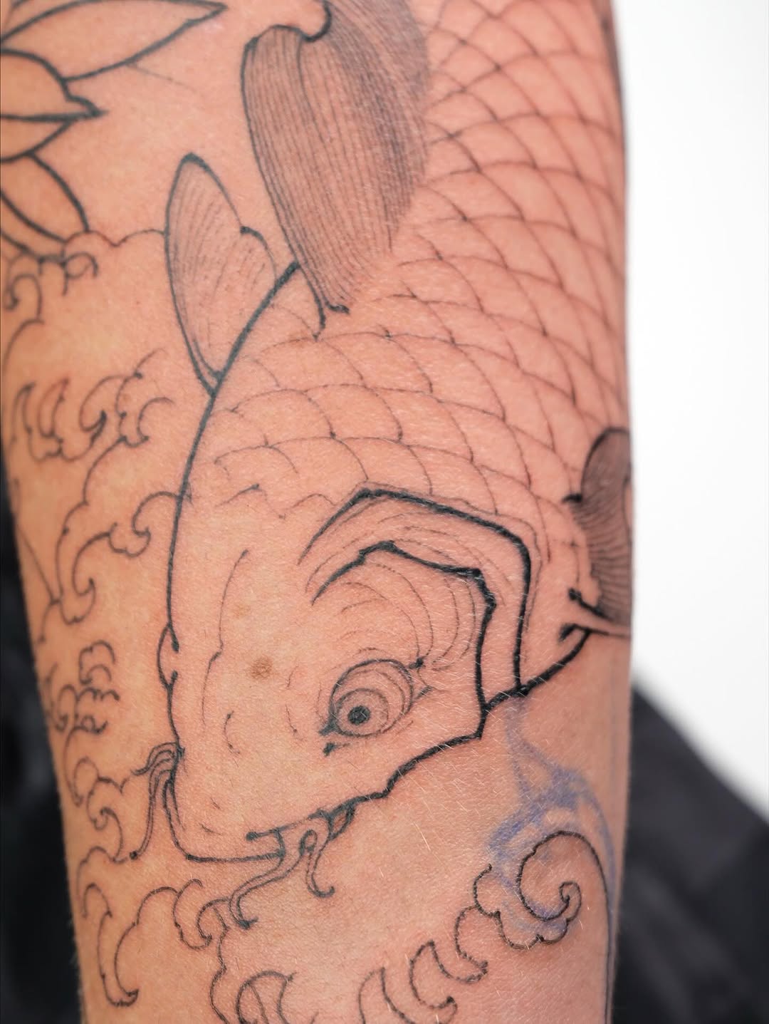 fatihkayis.tattoo