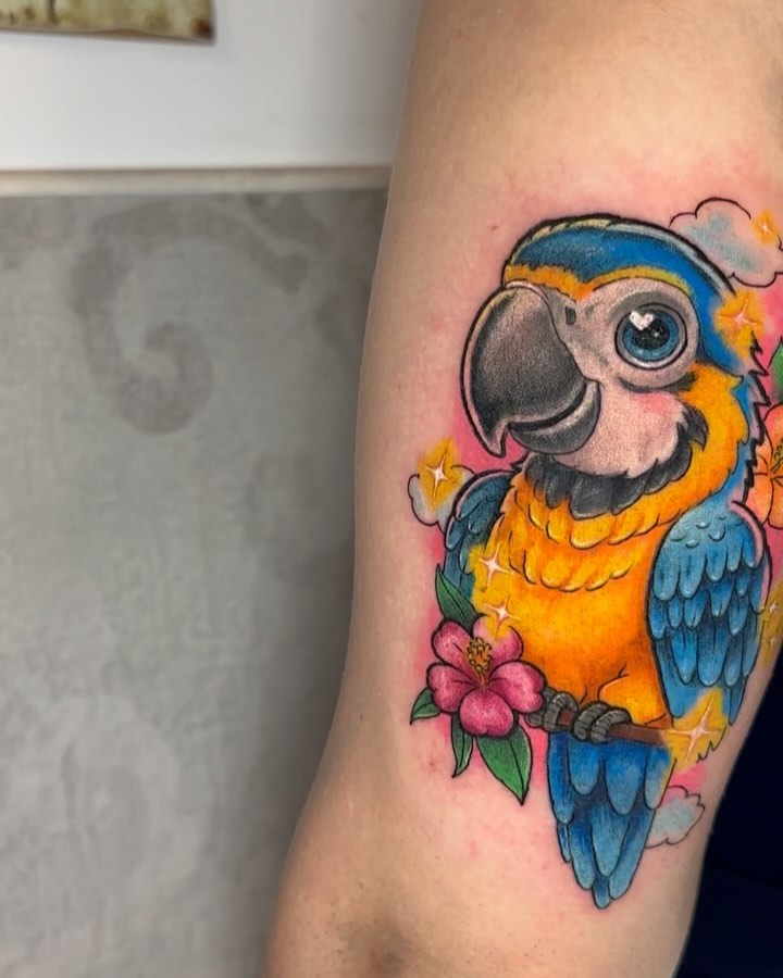 Animal, Nature, 앵무새