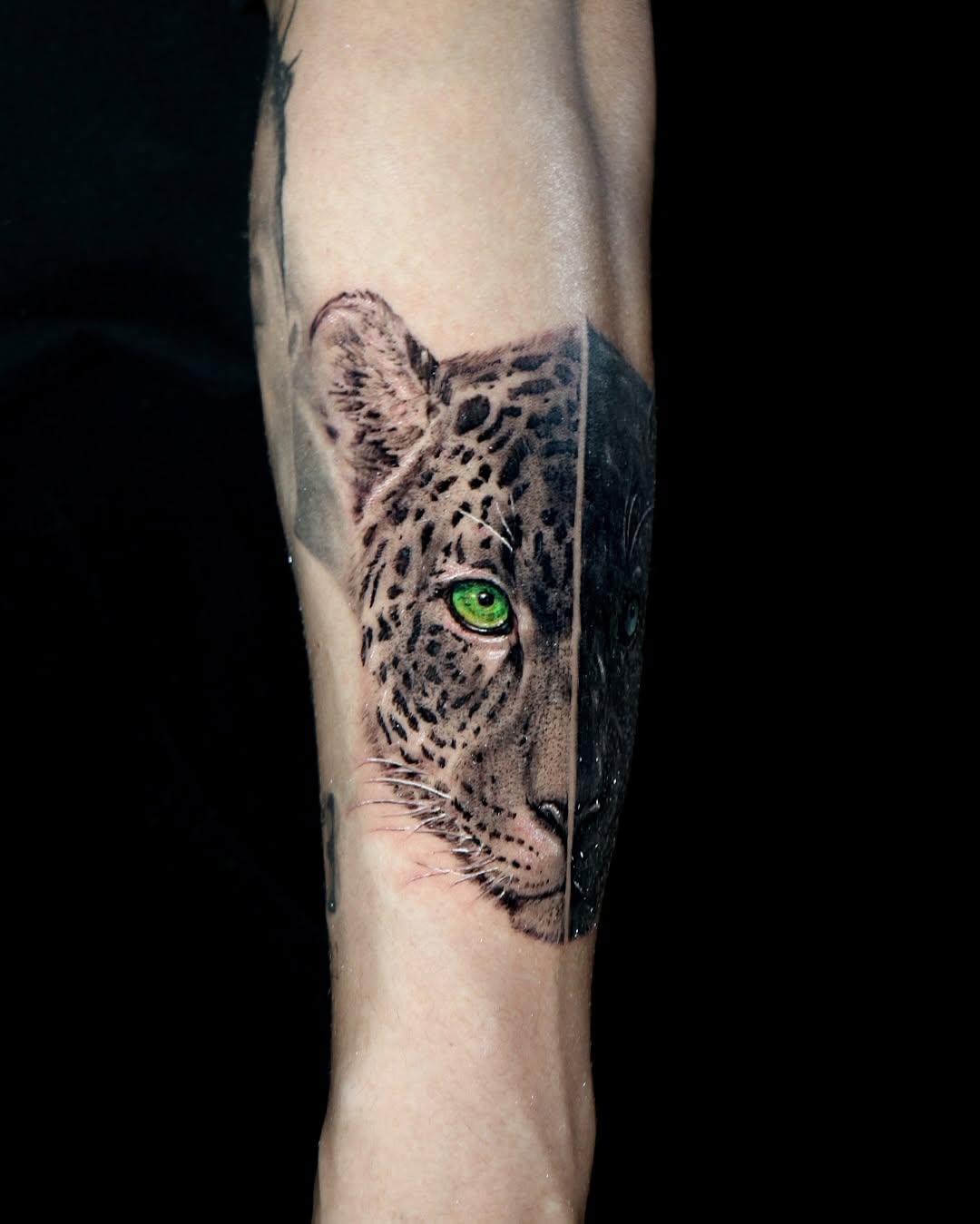 Animal, 표범, 재규어