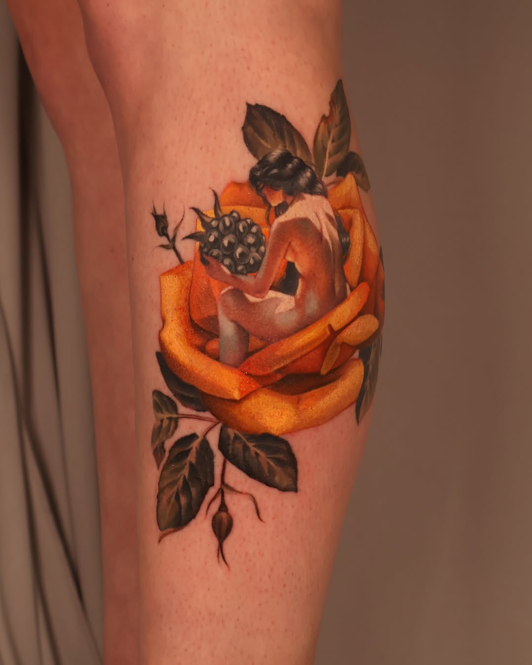Rose, Flower
