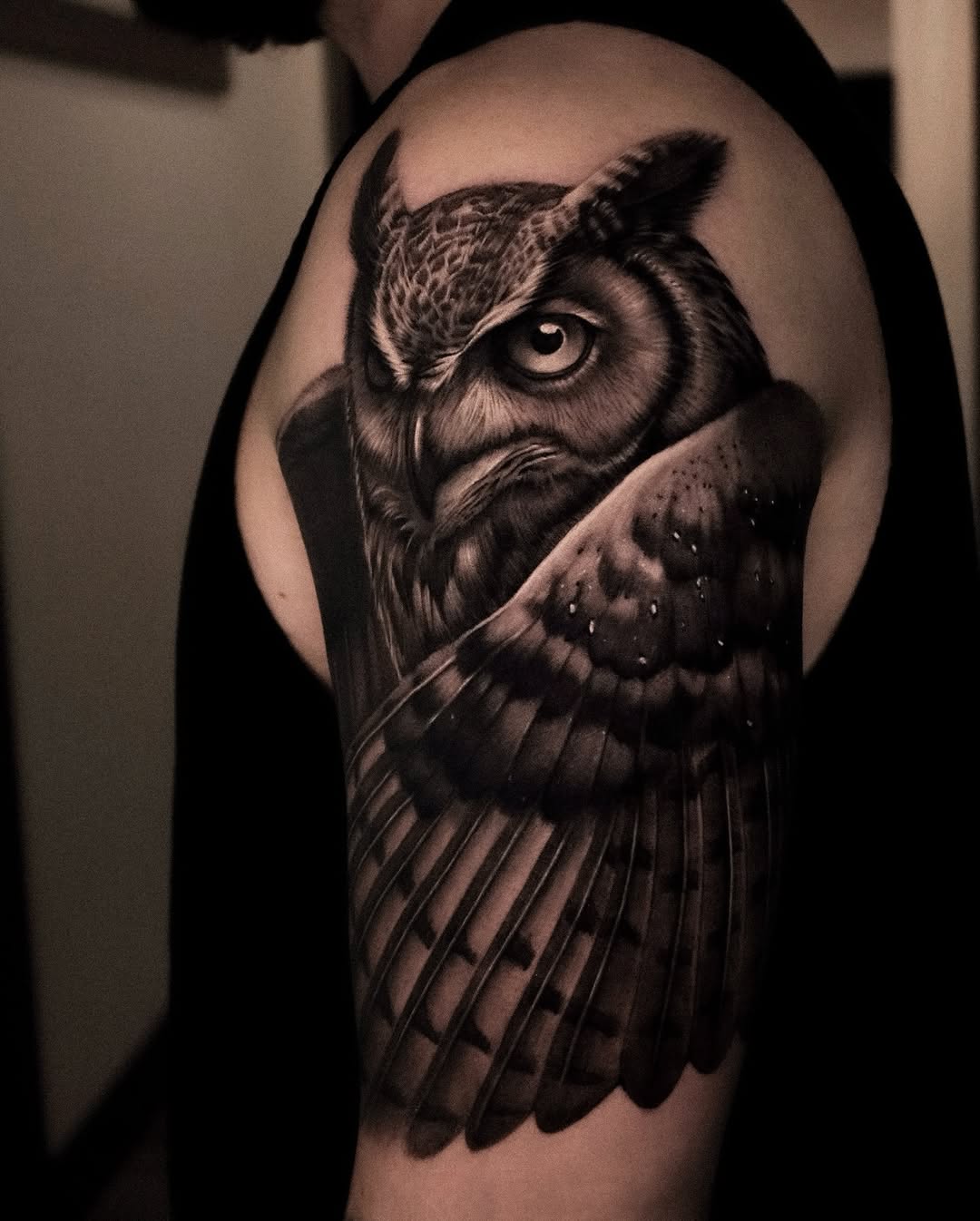 Animal, Nature