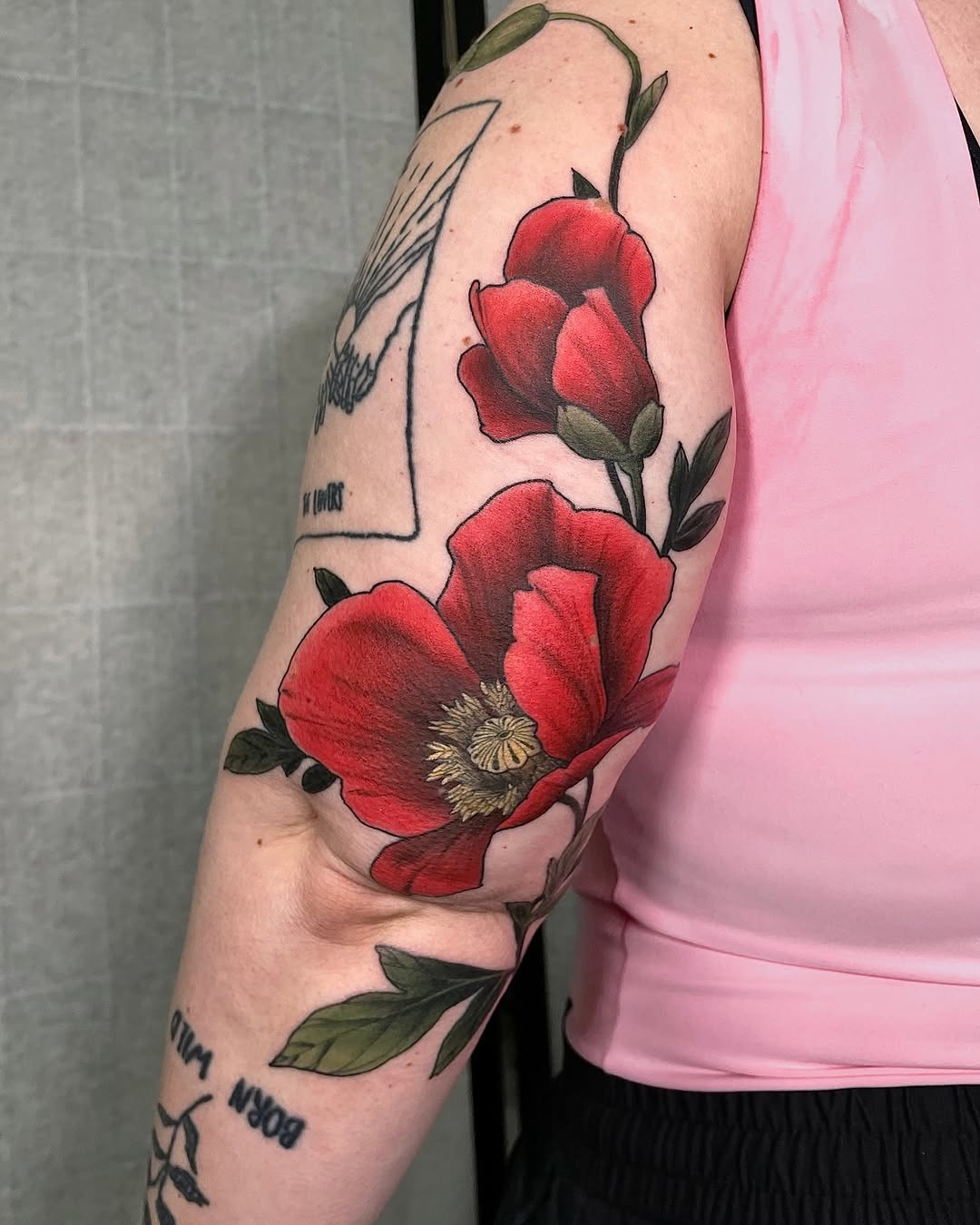 Flower, Rose