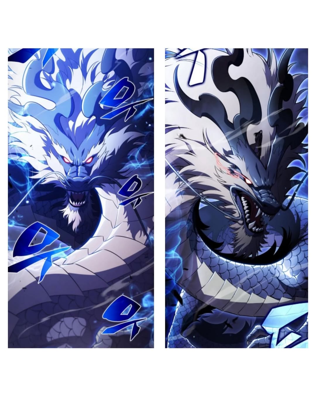 Dragon, 드래곤 라이더, 한국 용
