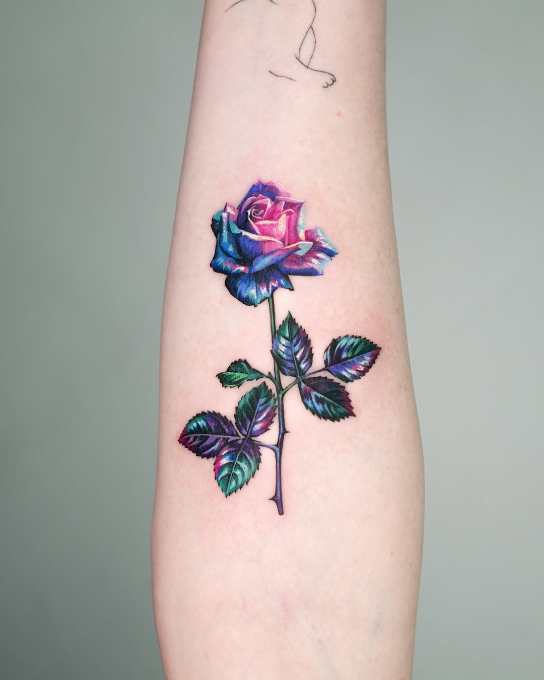 Flower, Rose