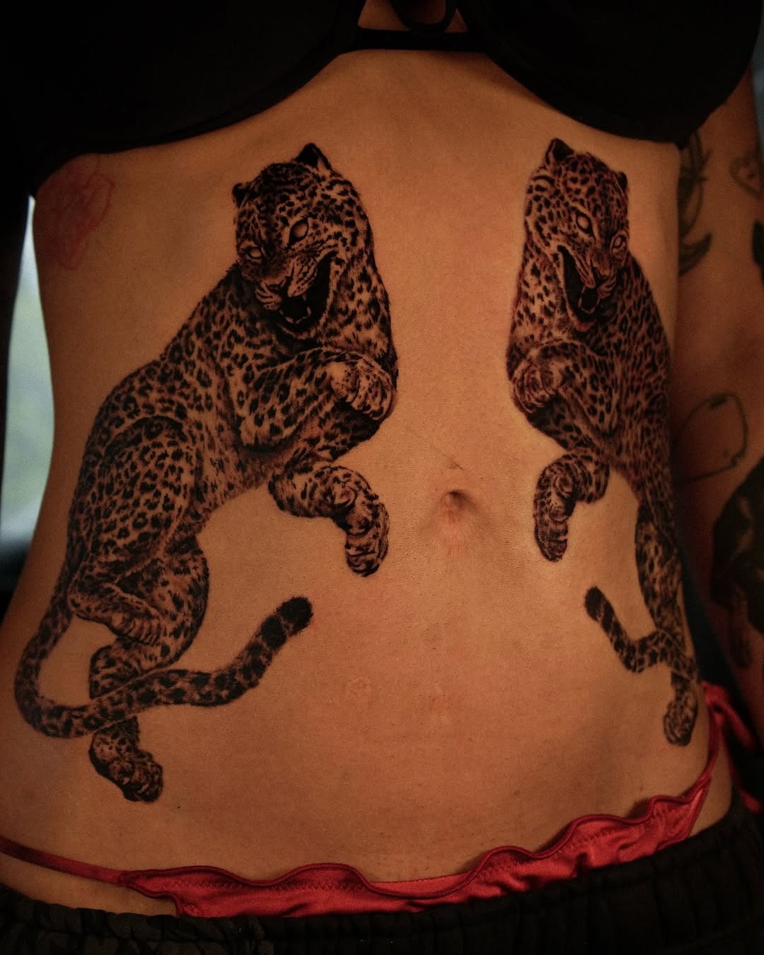 Tiger, Animal, 표범, 재규어, 치타