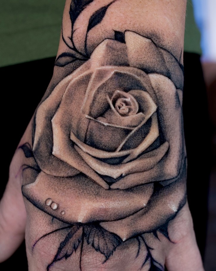 Flower, Rose