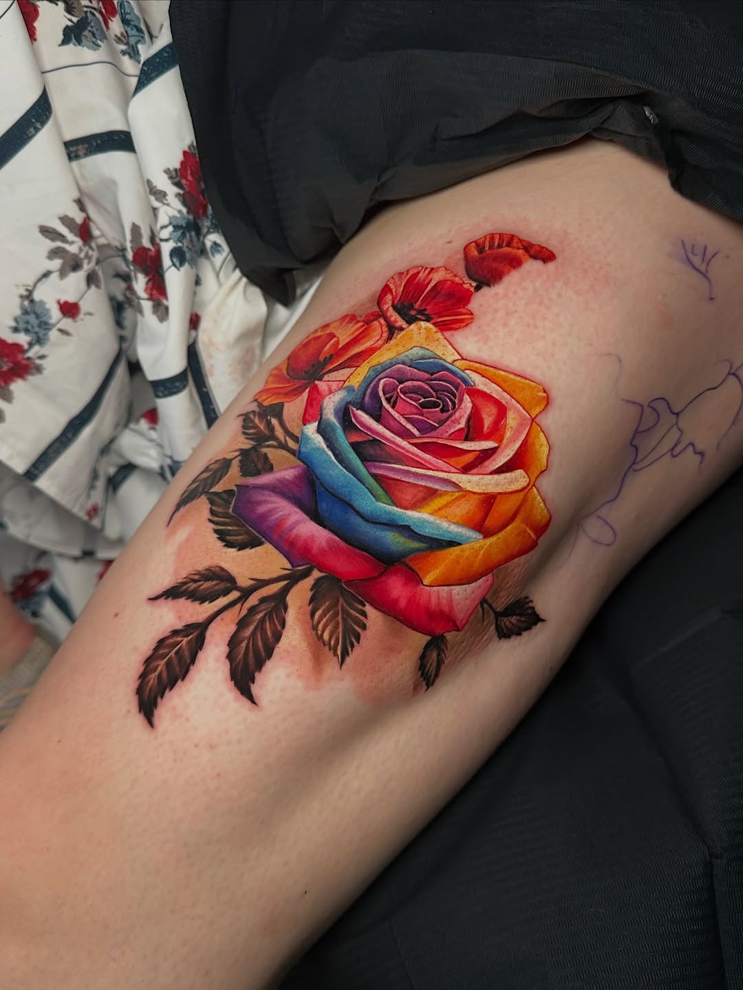 Flower, Rose, Nature
