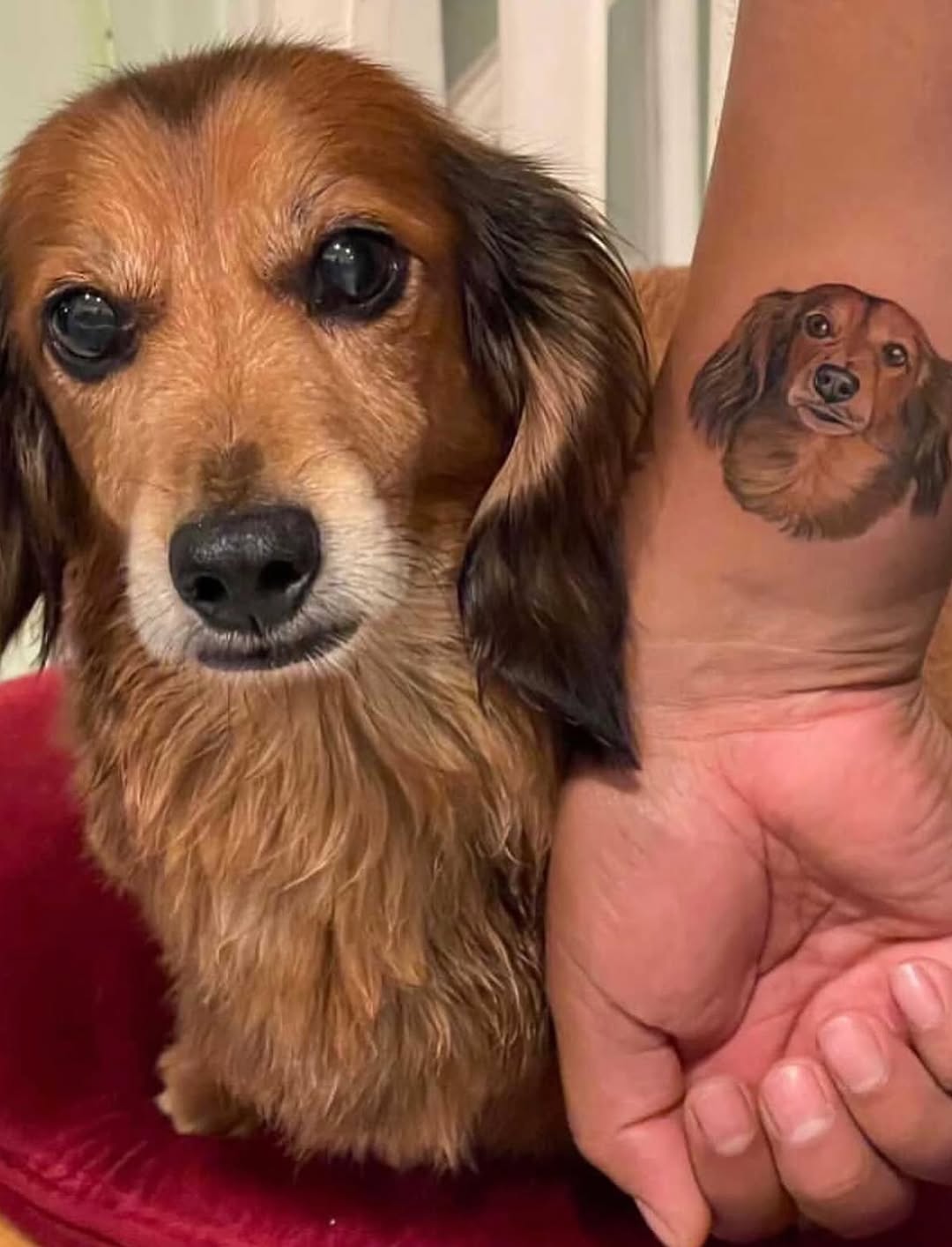 hnnhtattoo