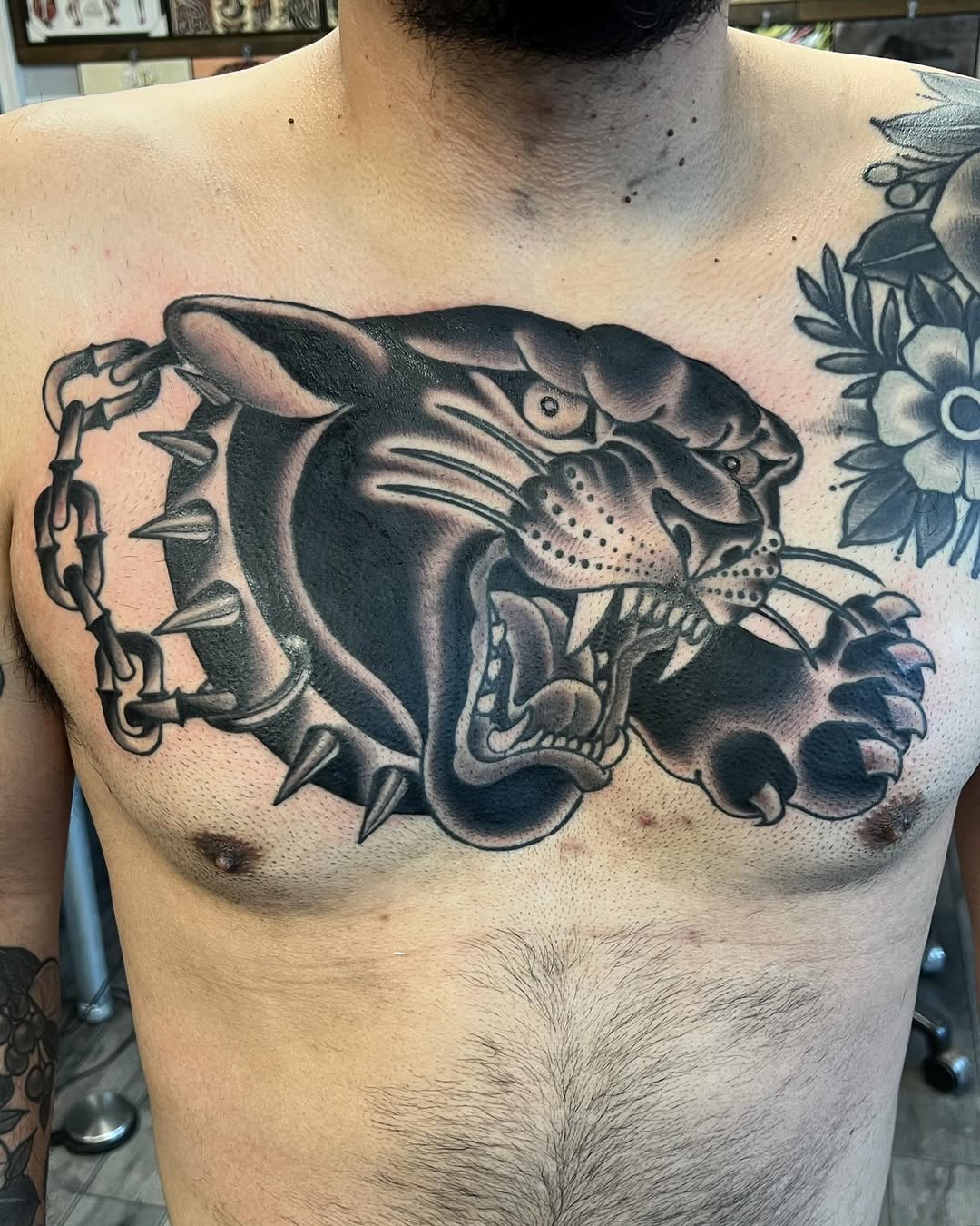 Tiger, Animal