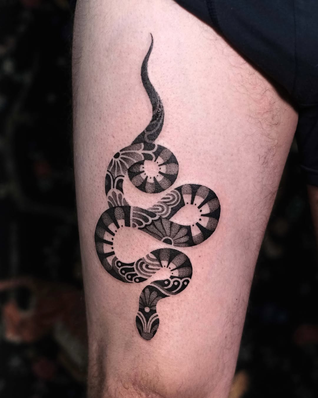 Dragon, Snake