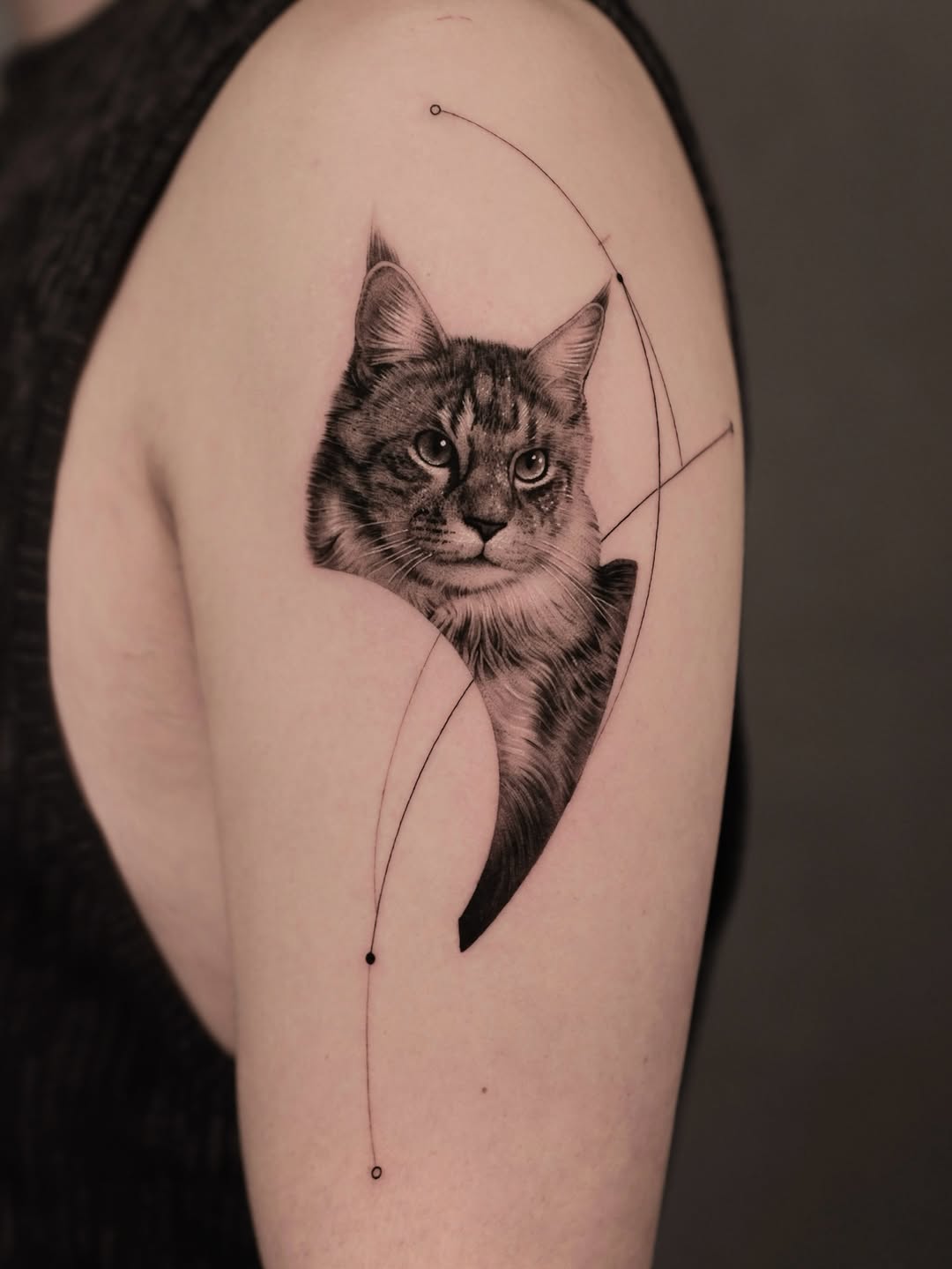 Animal