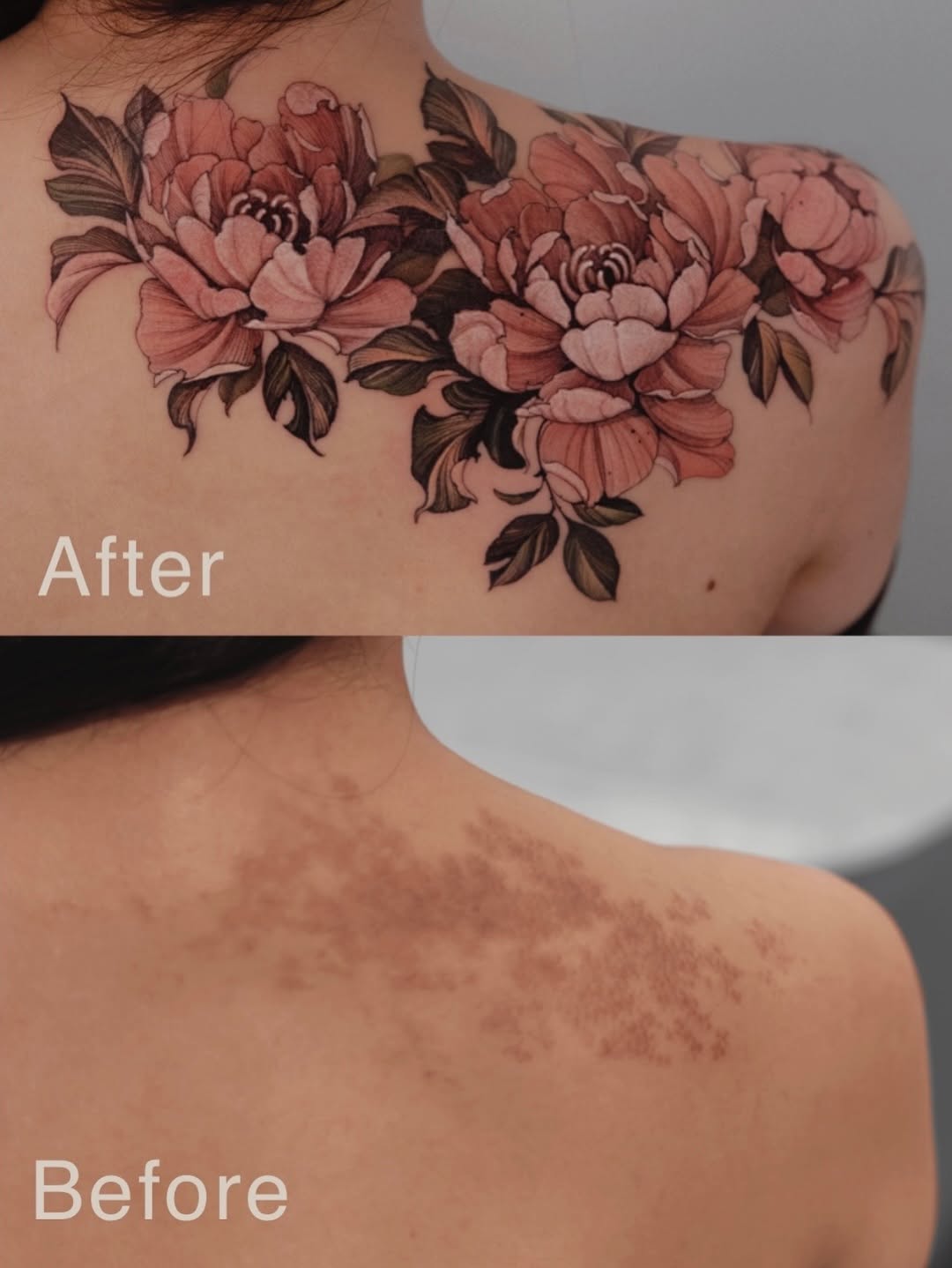 Flower, Rose, Nature