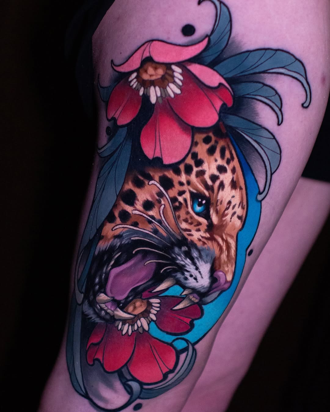Animal, Tiger