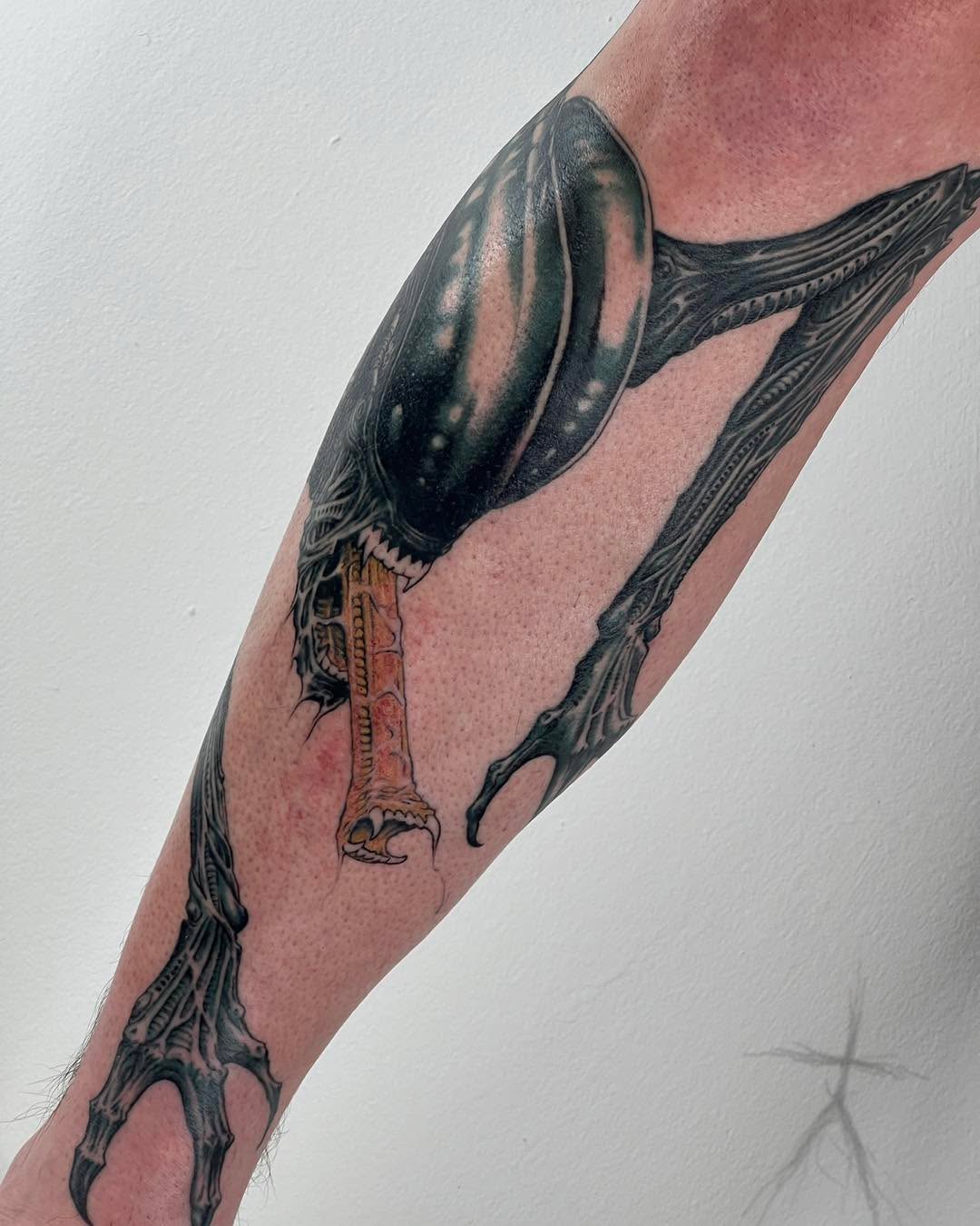 xcjxtattooer