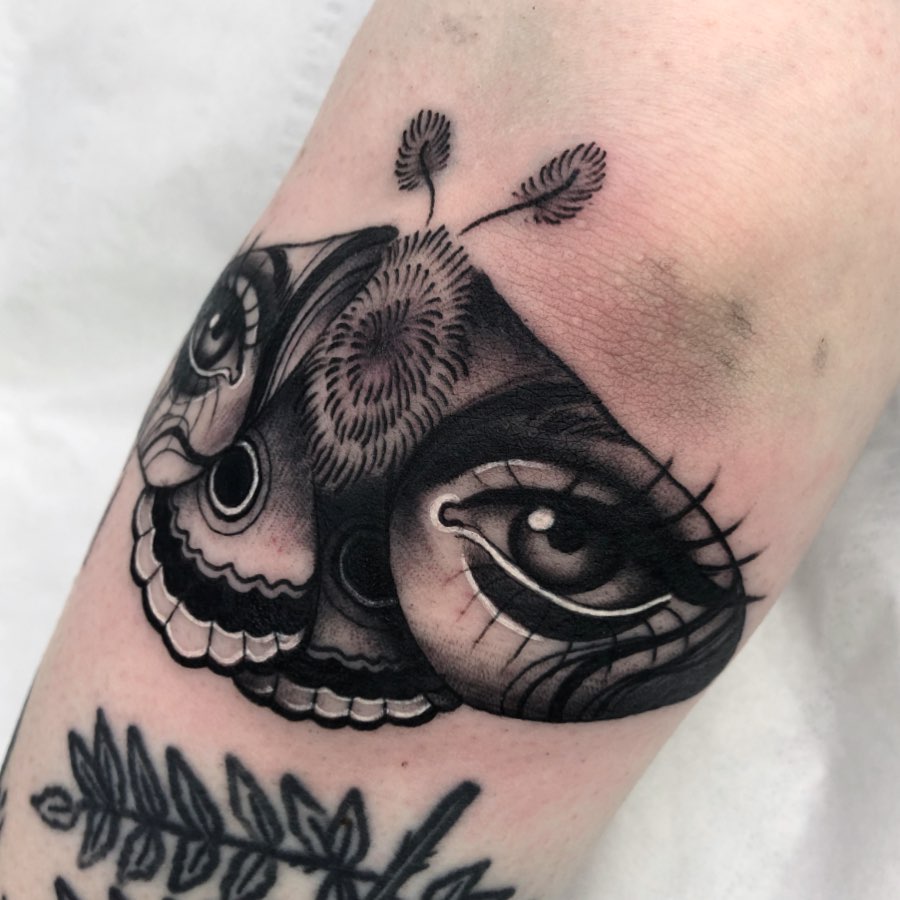 Animal, Nature