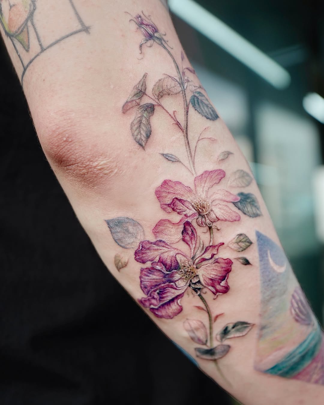 Flower, Rose