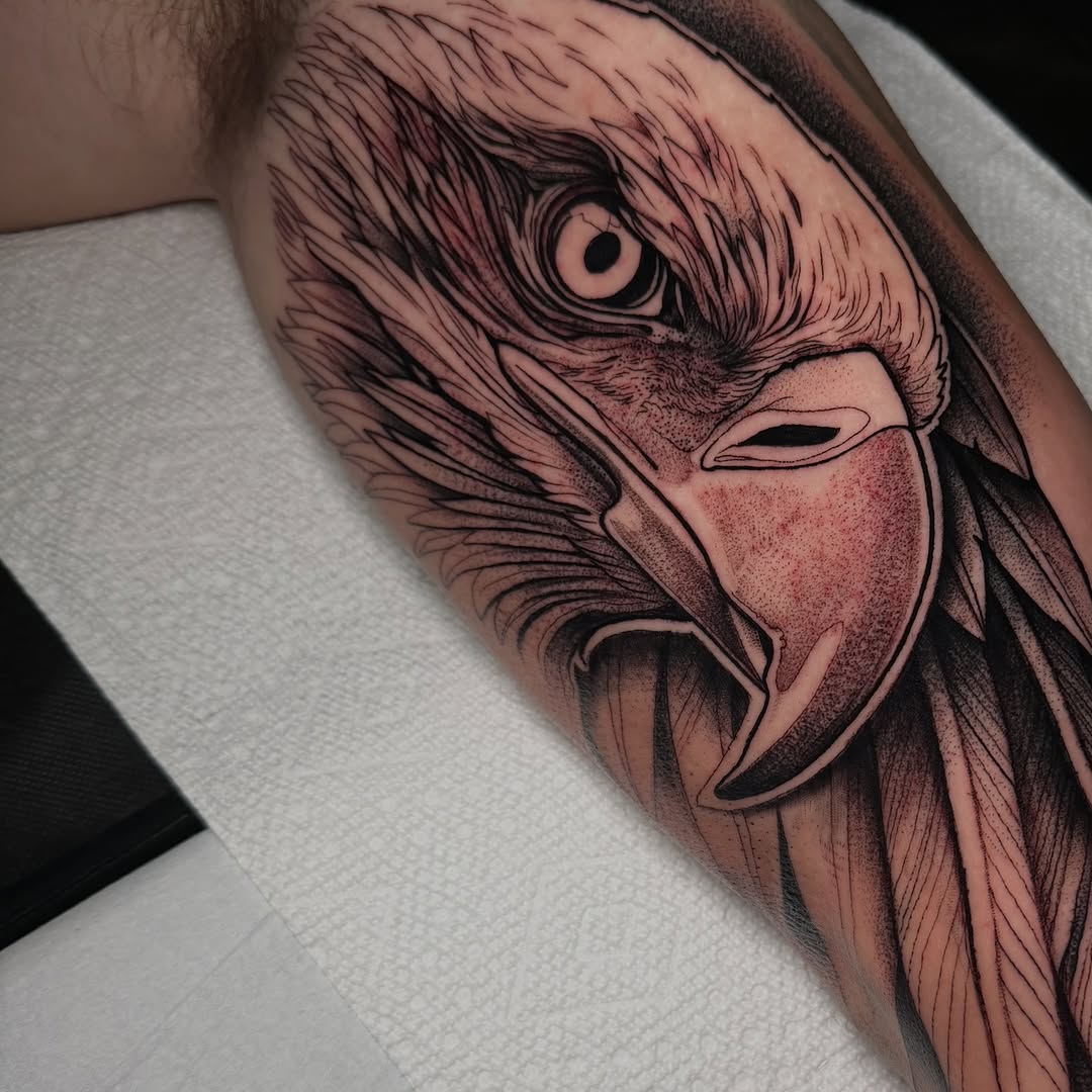 Animal