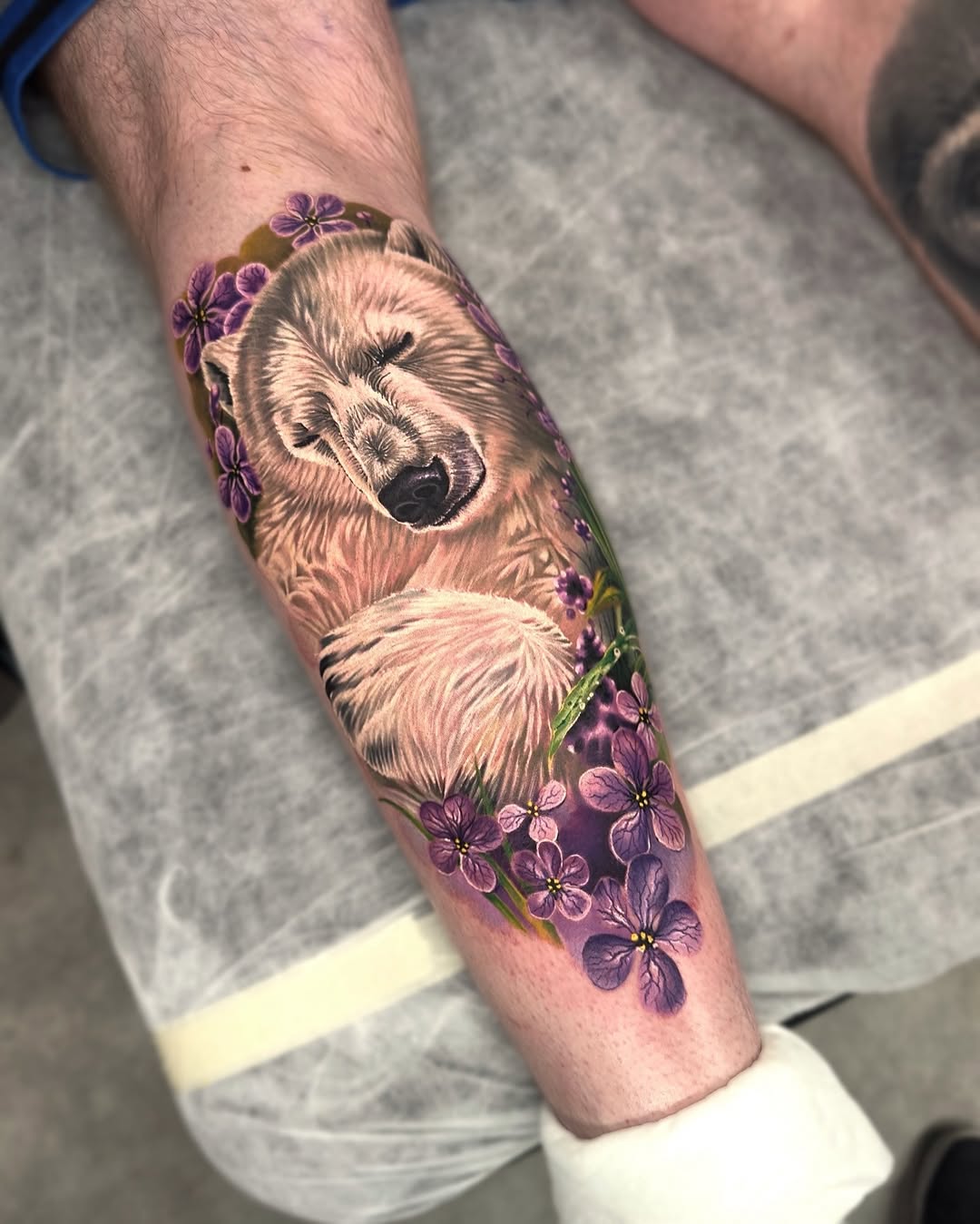 Animal