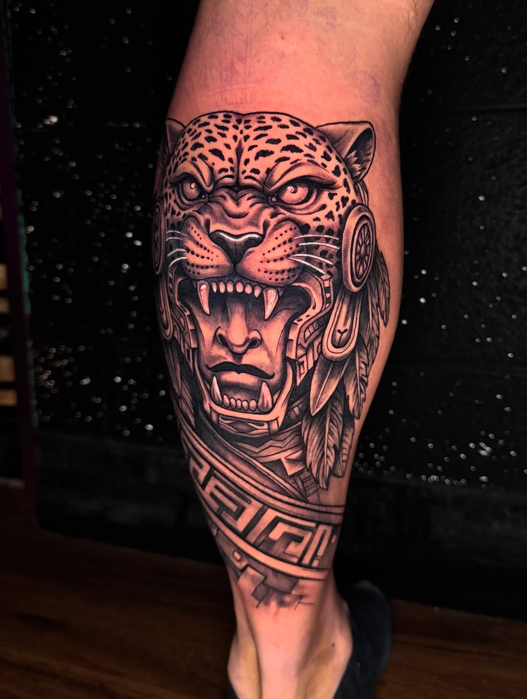 Tiger, Animal
