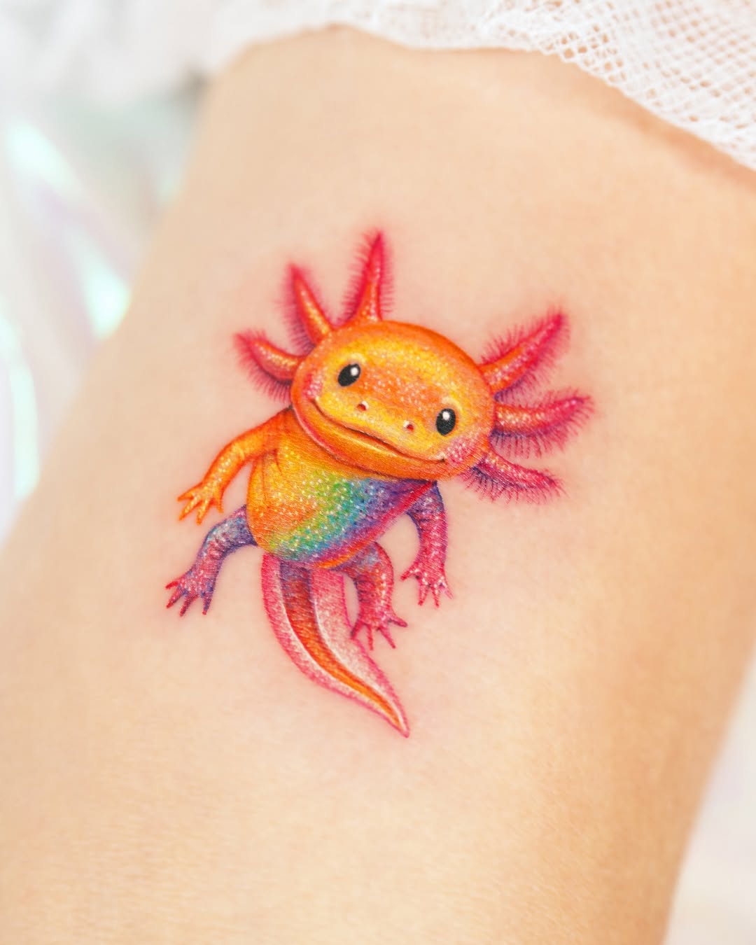 Animal, 문어, 오징어, 크라켄