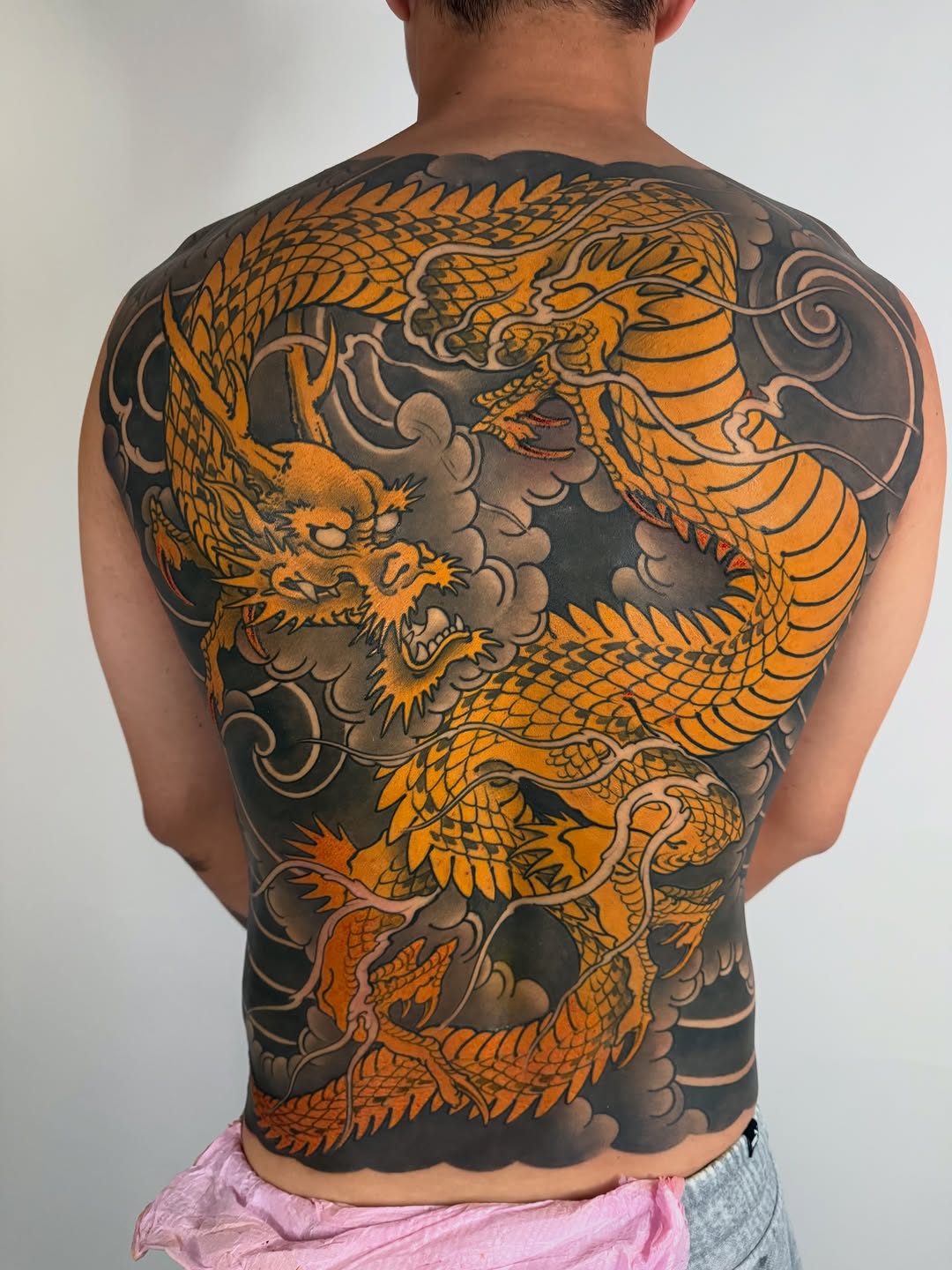 Dragon, 해부학