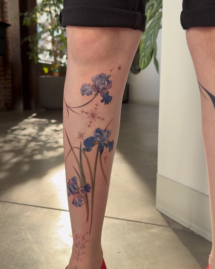 Flower, 아이리스, 난초, 백합, 튤립