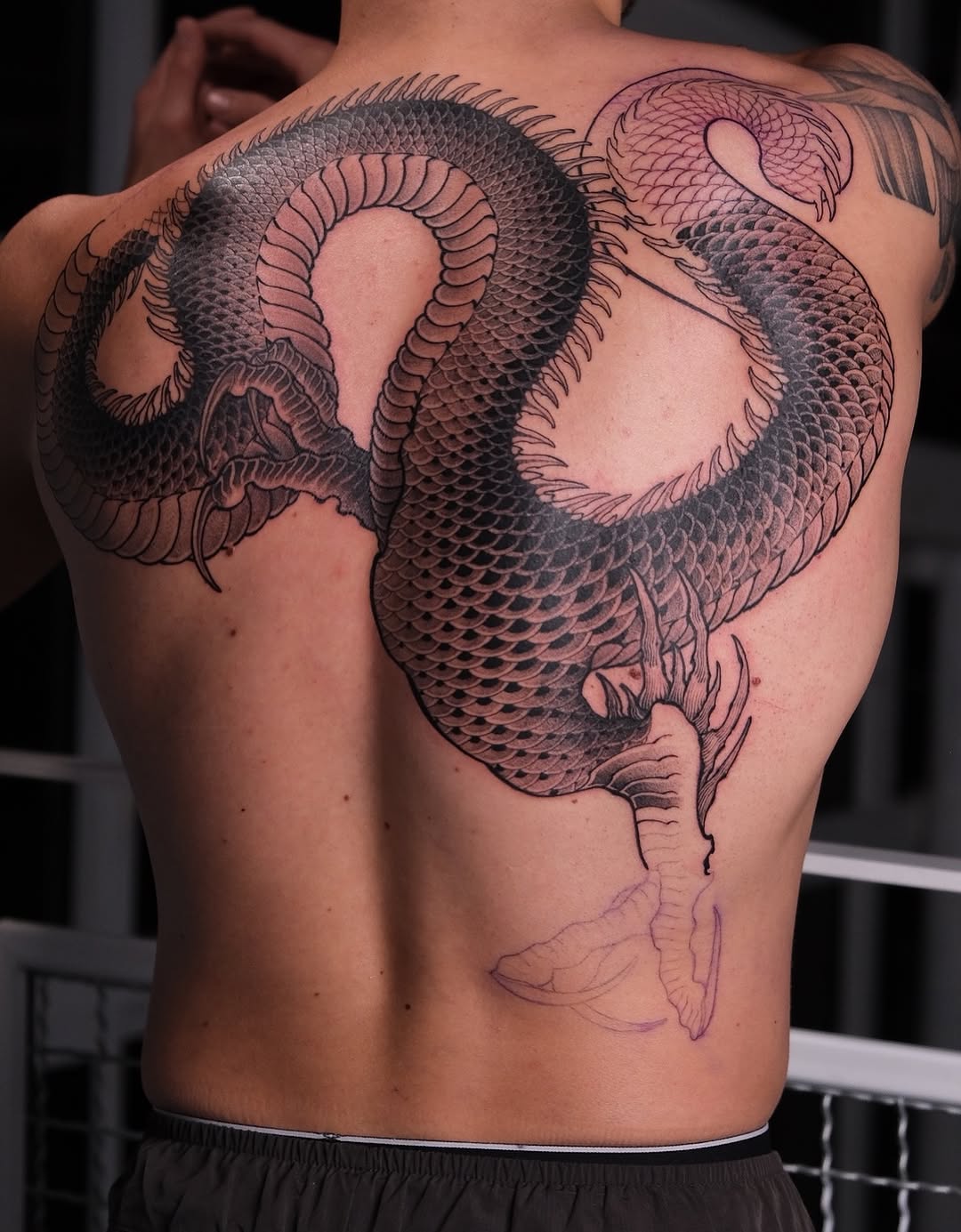 Dragon