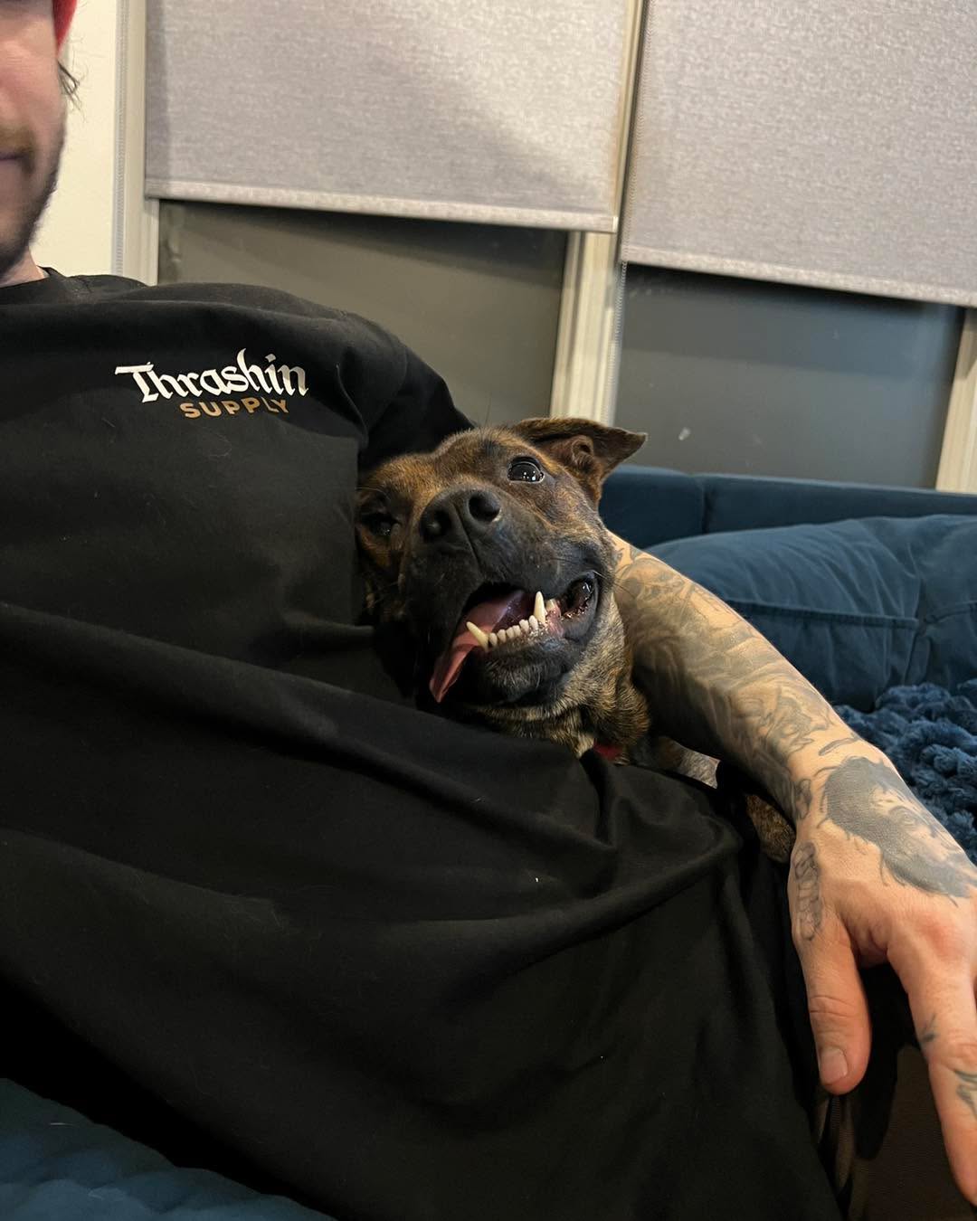xcjxtattooer