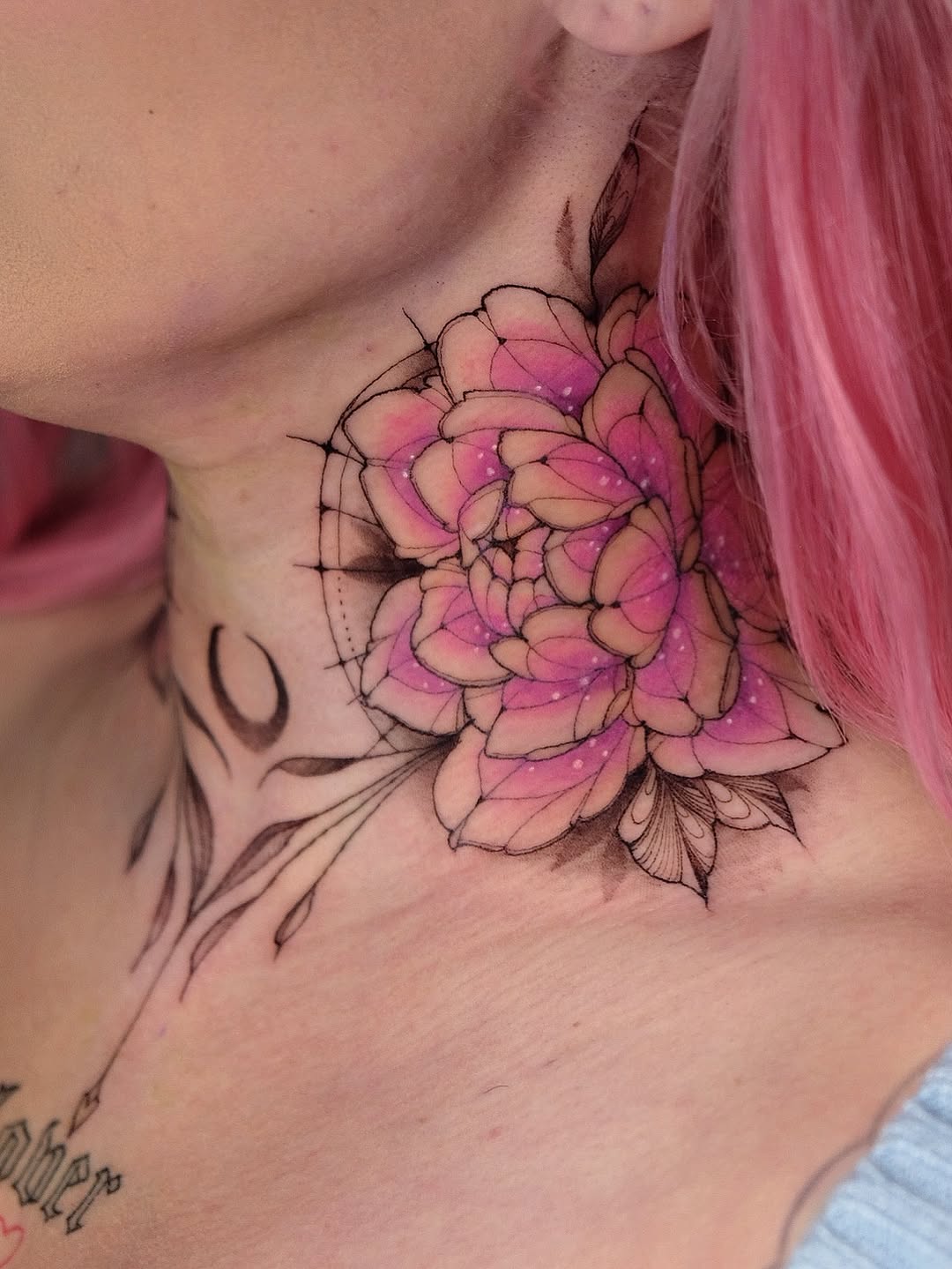 Flower, Rose, Nature