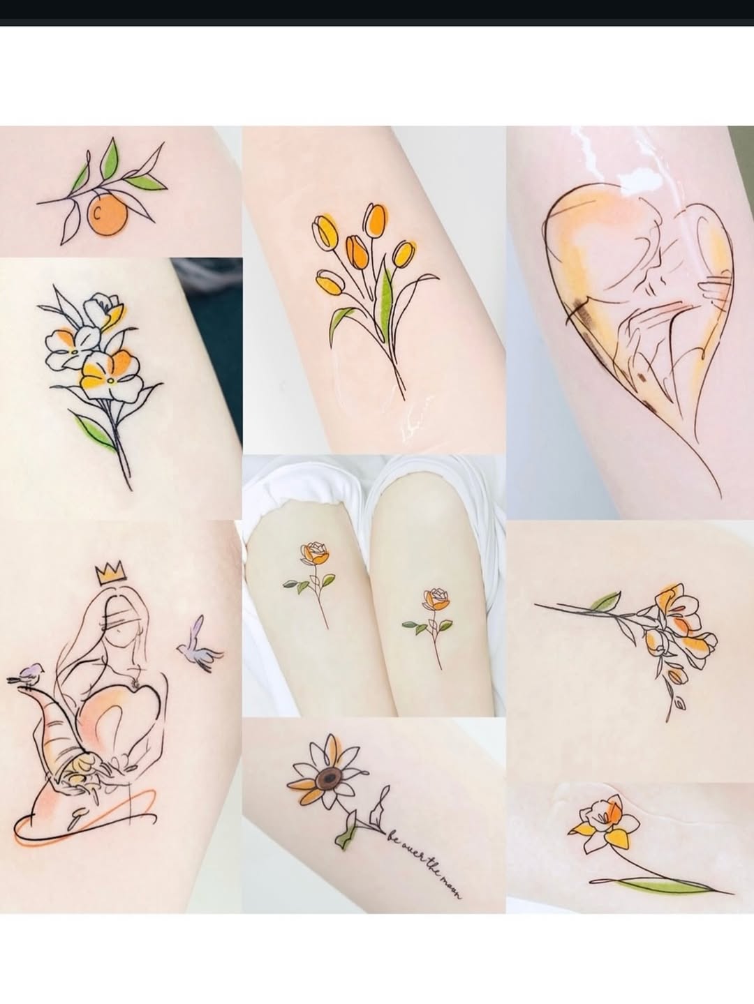 Flower, Nature, Rose