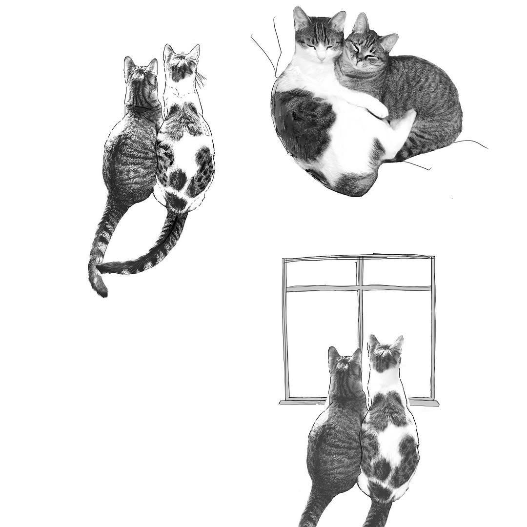 circatattoo