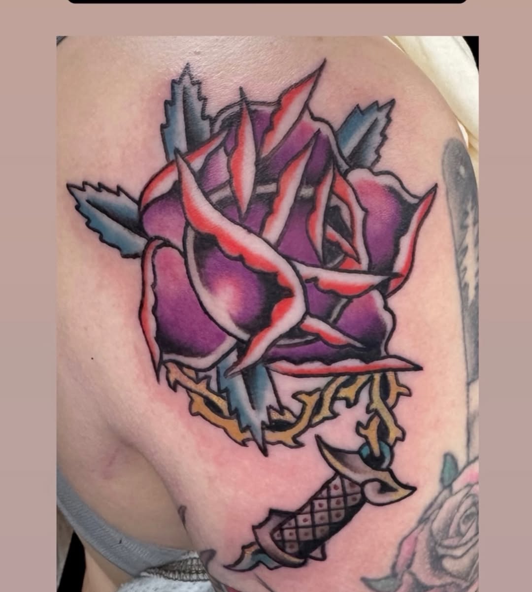 Flower, Rose