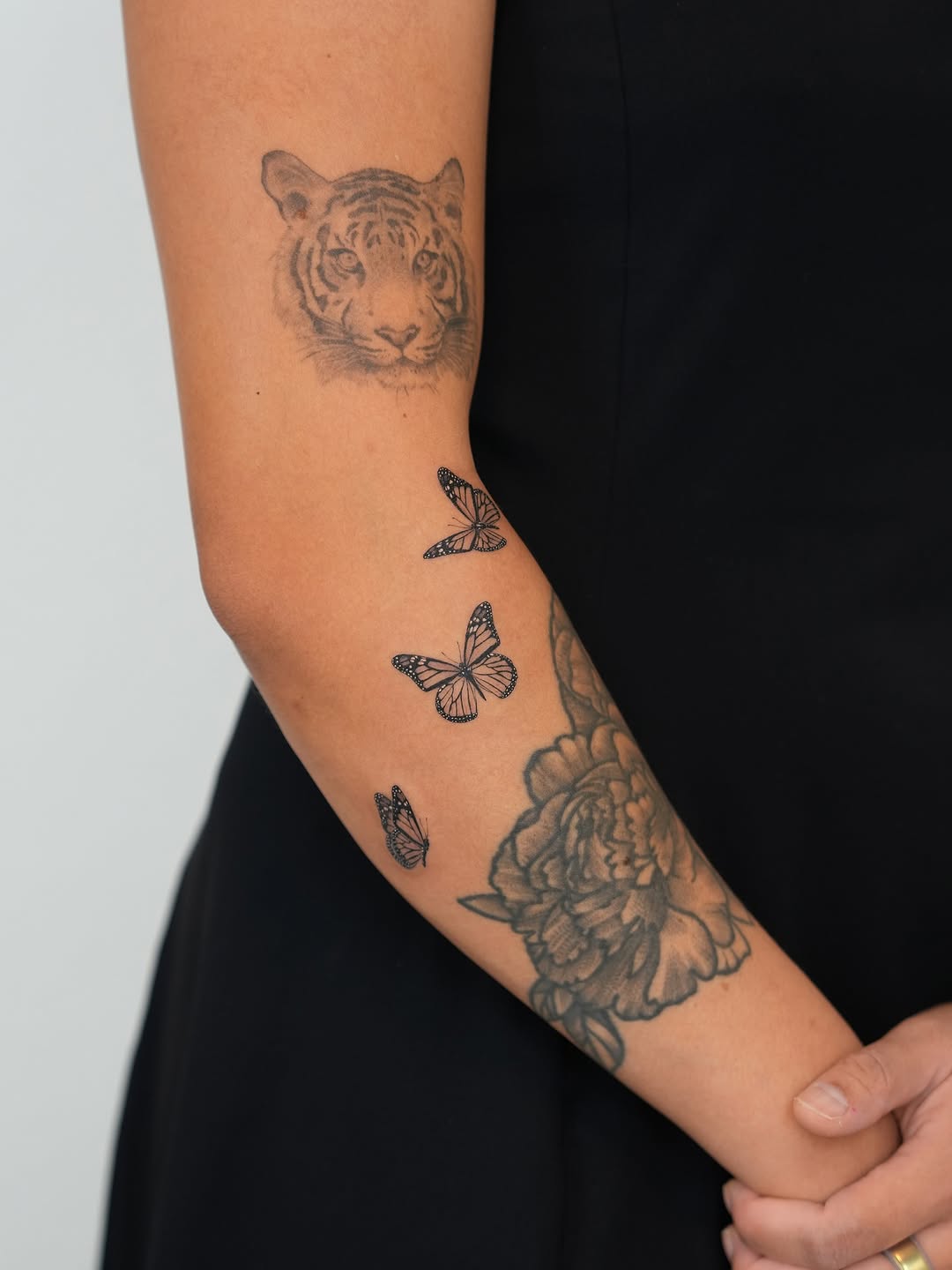 Nature, Animal, Flower