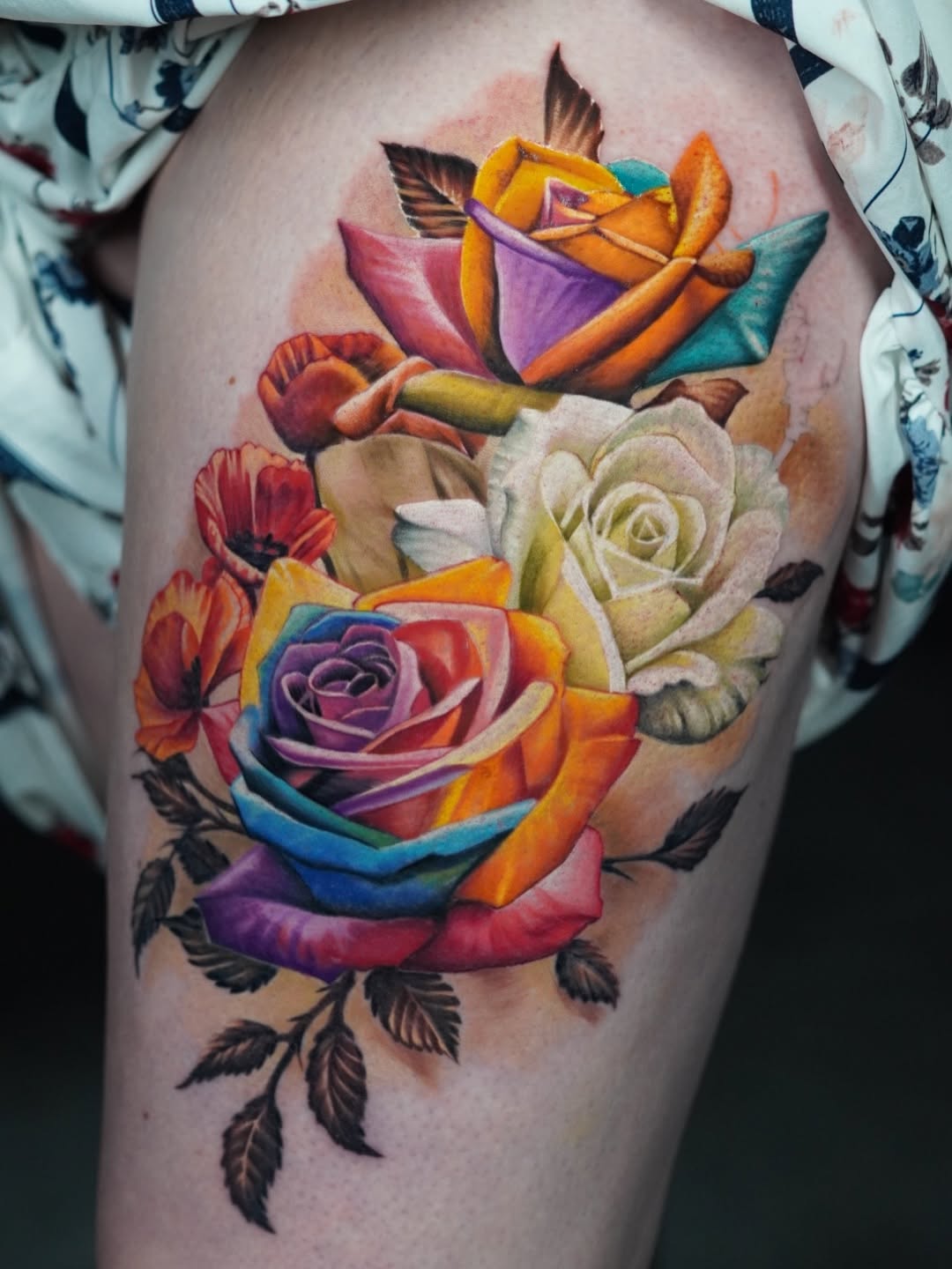 Flower, Rose, Nature