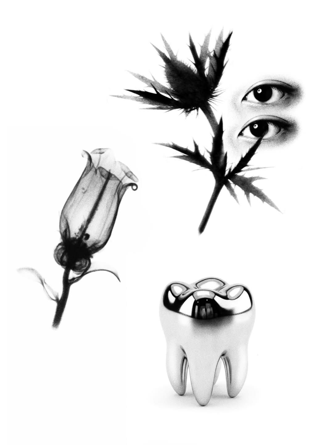 plantsnpokes