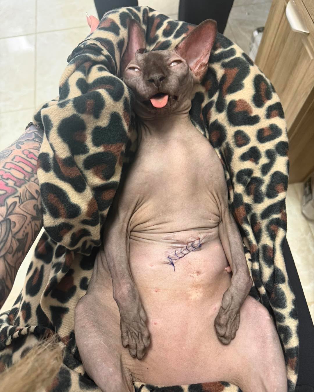 xcjxtattooer