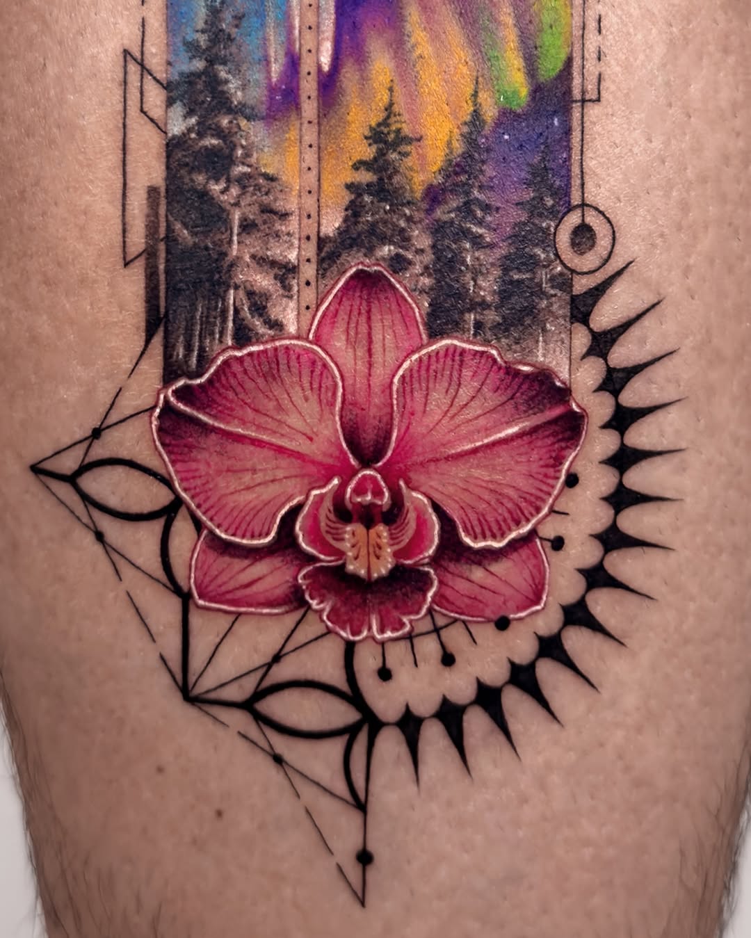 Flower, 난초