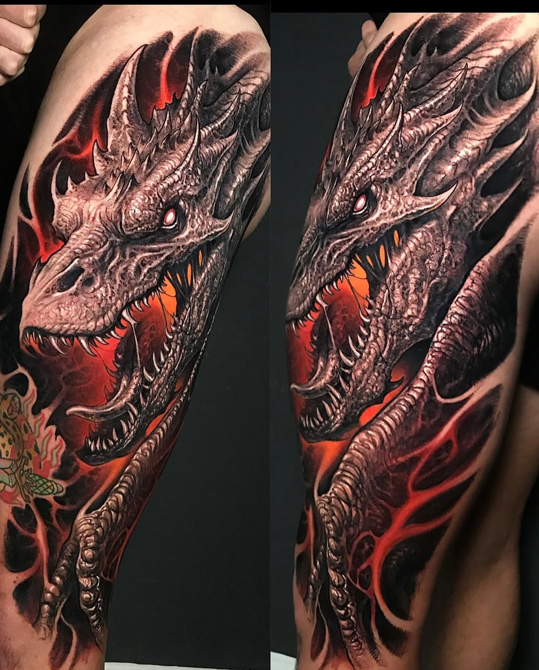 Dragon, 드래곤 라이더, 한국 용