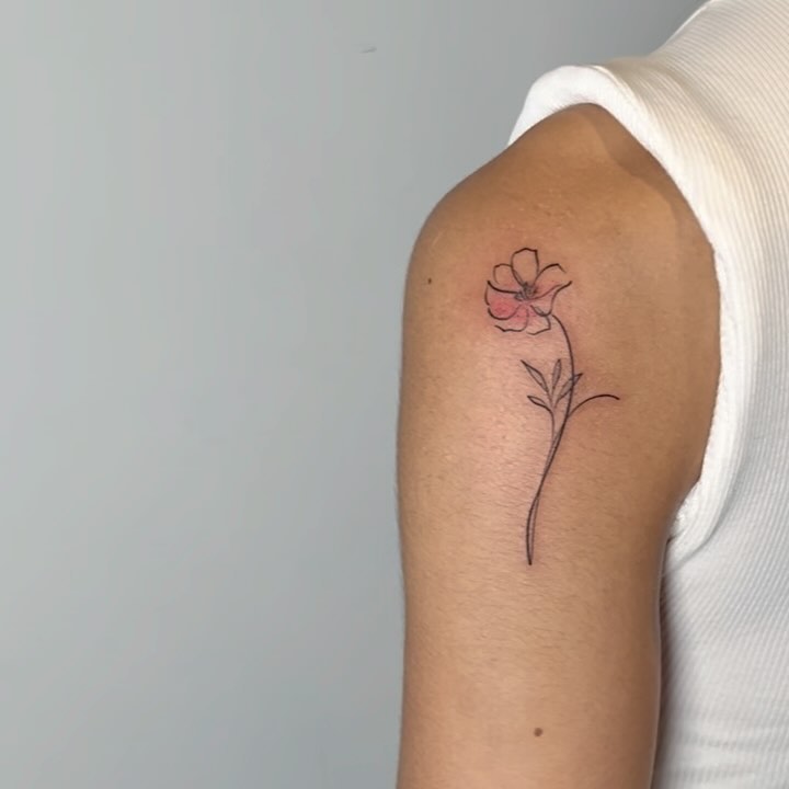 Flower, Rose