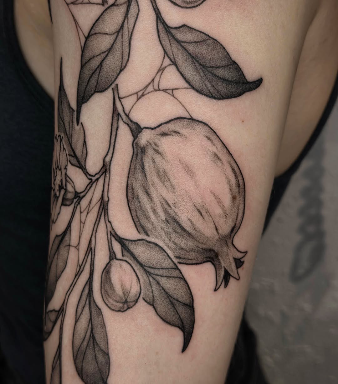 Flower, Rose, Nature