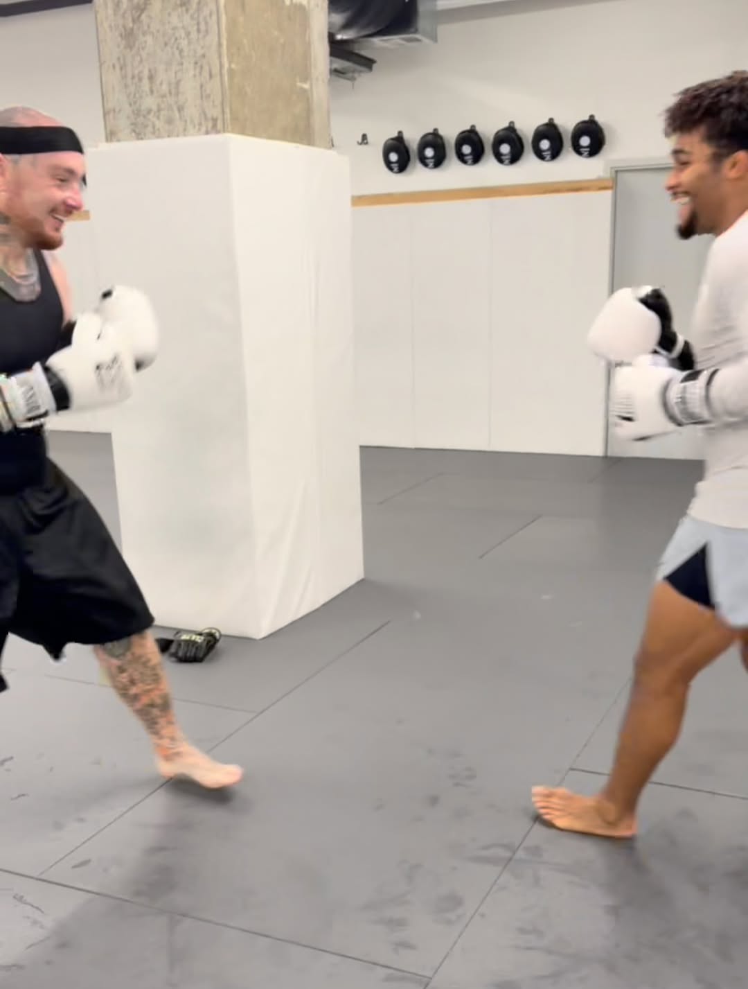 뇌