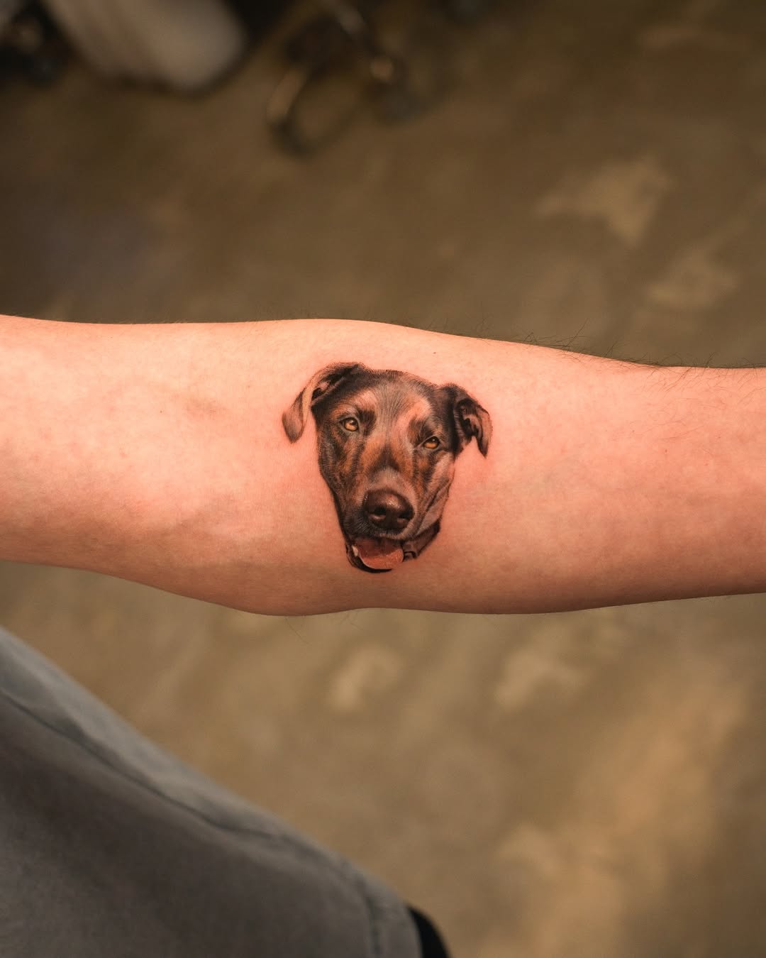 Animal