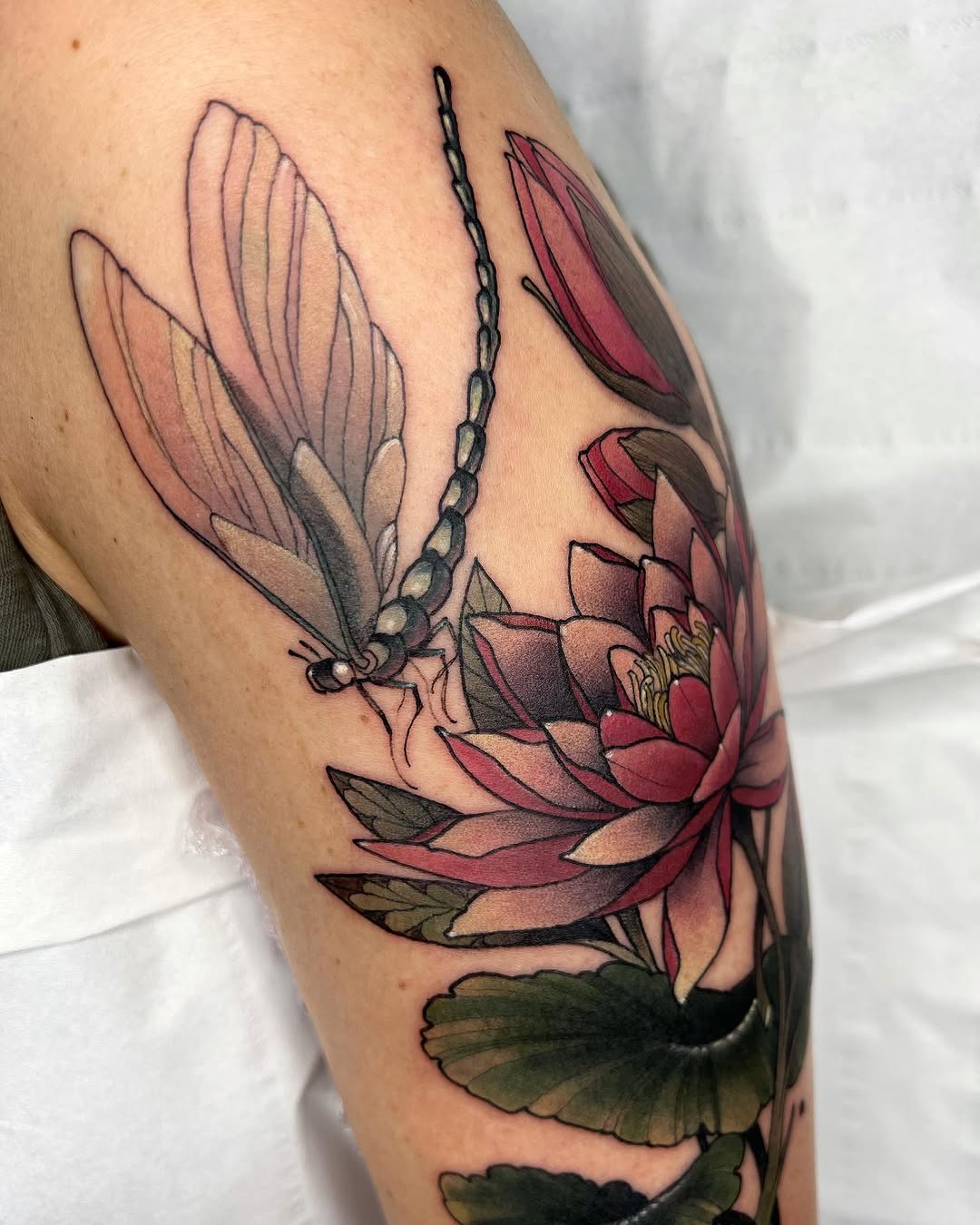 Flower, Animal, Nature
