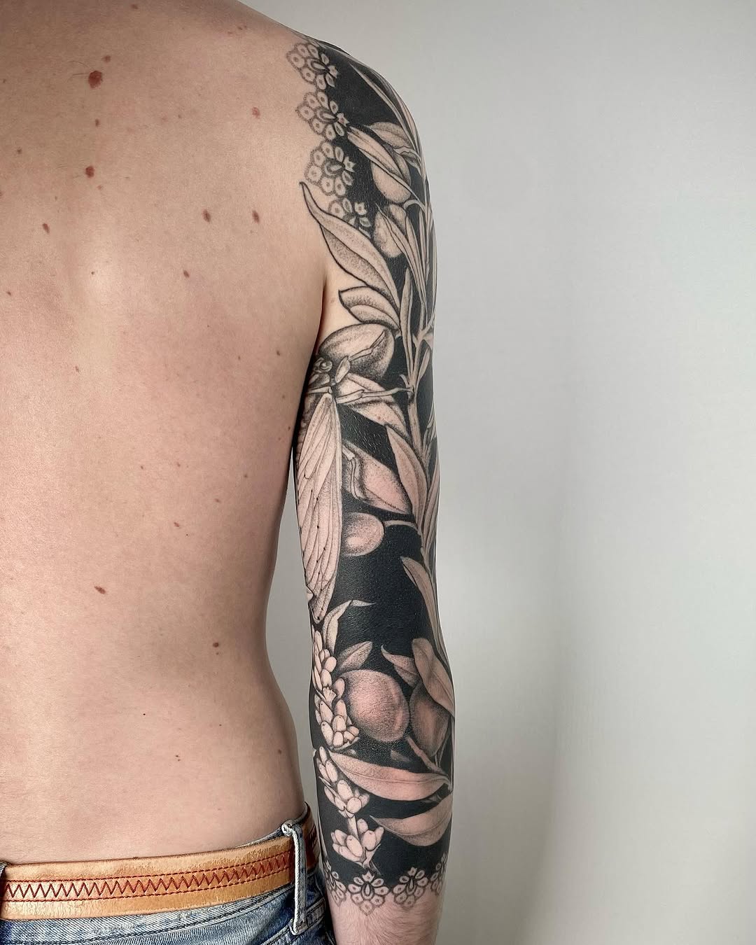 Flower, Animal, Nature, Rose