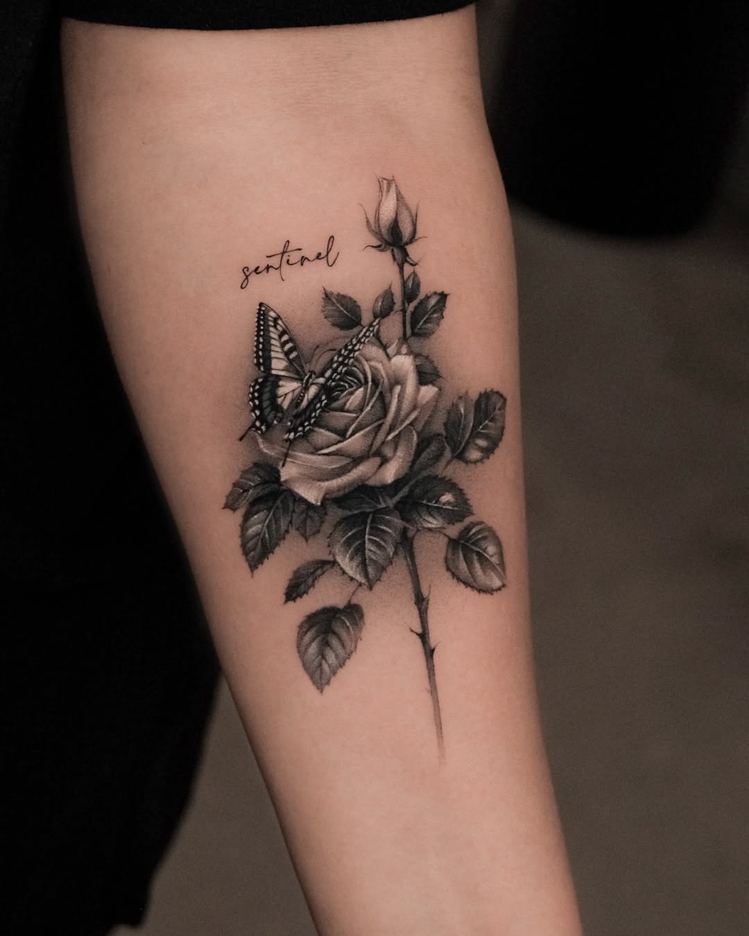 Flower, Rose, Nature, Animal