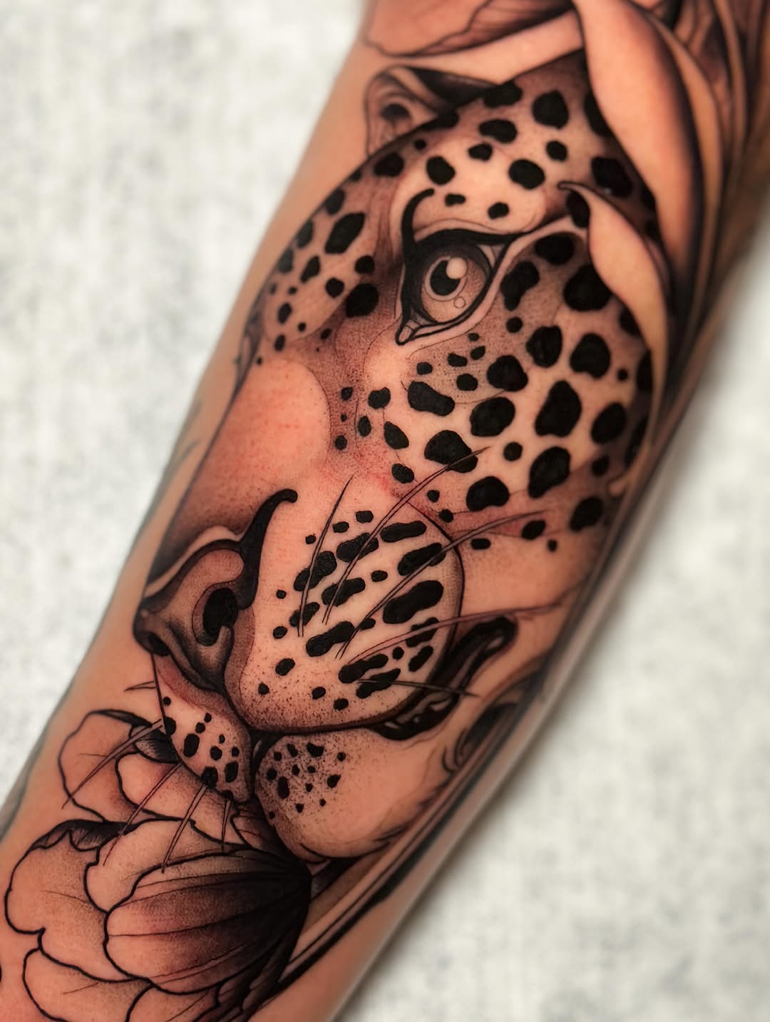 Tiger, Animal