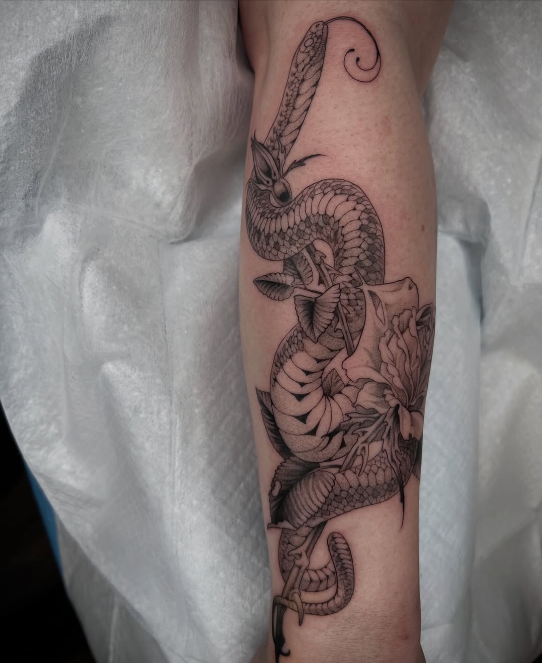 띠, Dragon